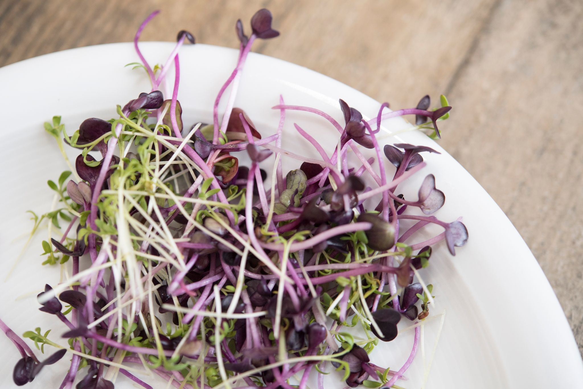 Microgreens ersetzen kein normales Gemüse
