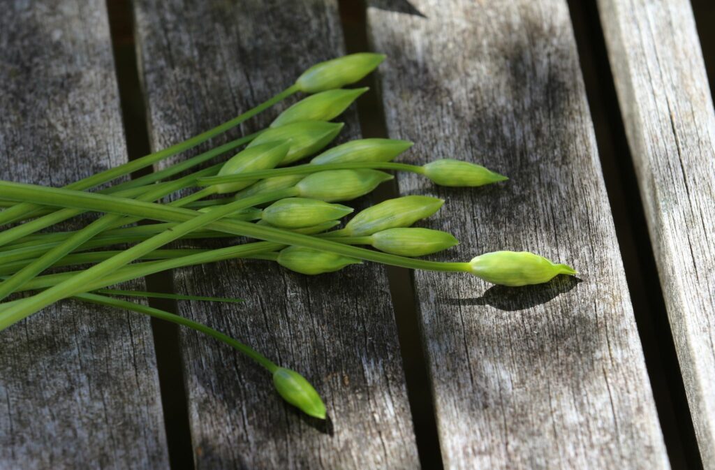 Ein (Knoblauch-)Hauch von Frühling, aber bitte mit Bärlauch