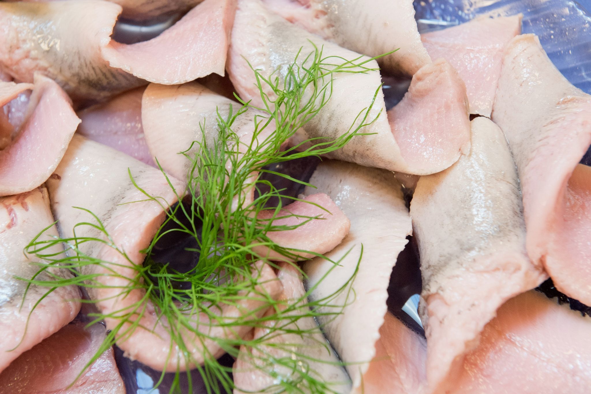 WWF: Besser kleine Schwarmfische als Raubfische essen