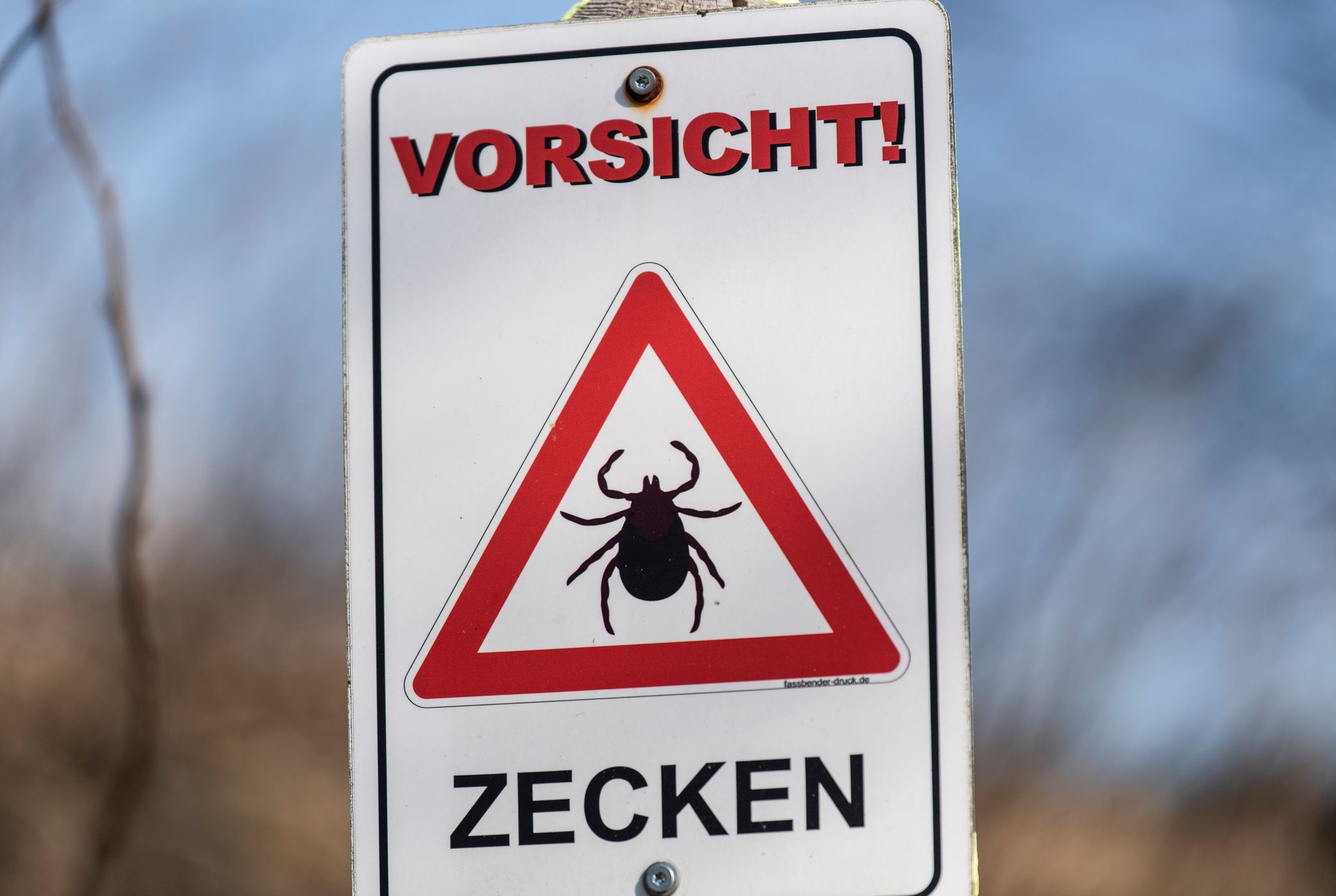Klimawandel und Corona lassen FSME-Zahlen steigen