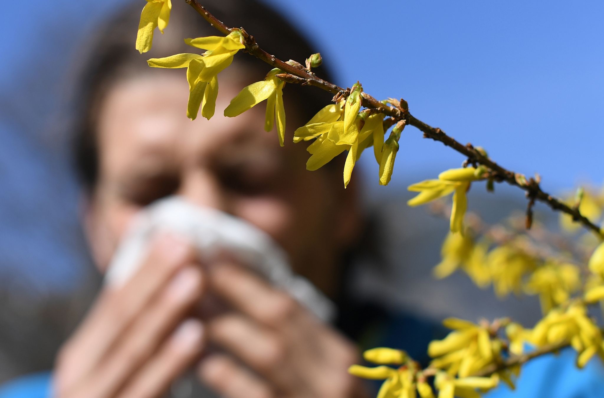 Pollenallergie: Corona-Masken können Symptome mildern