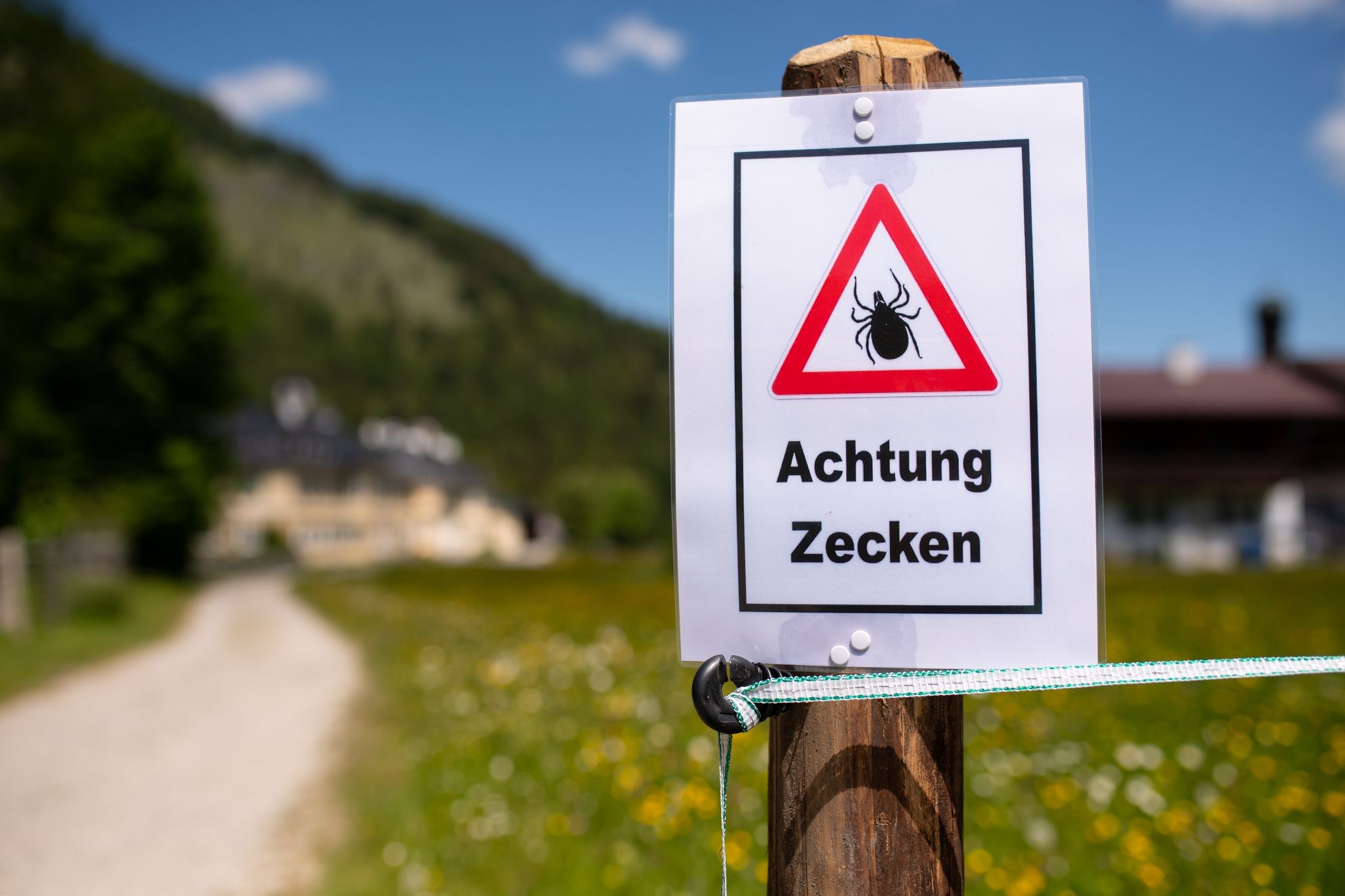 Für wen die FSME-Impfung empfohlen wird