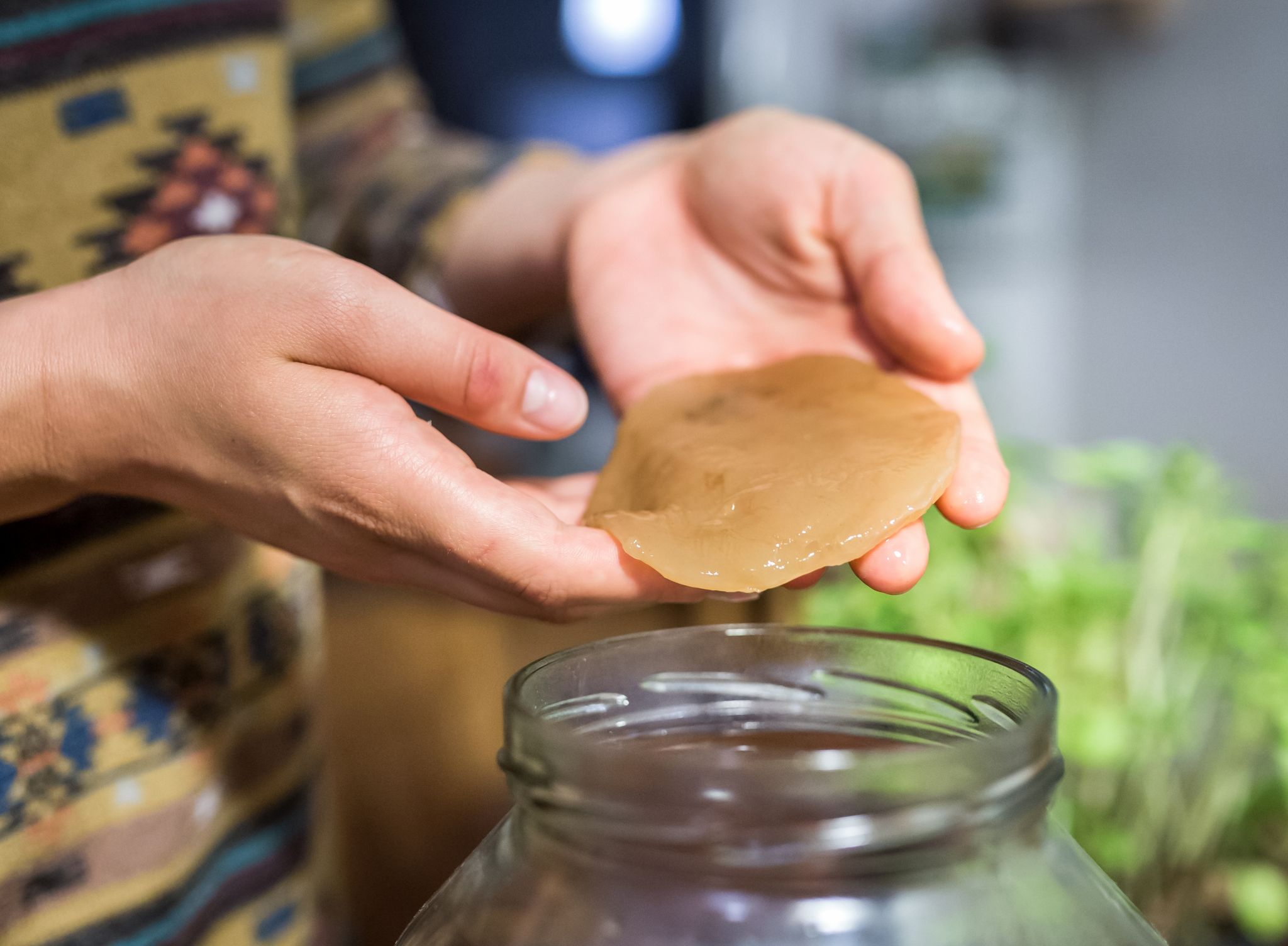 Penible Hygiene beim Kombucha-Brauen ist das A und O