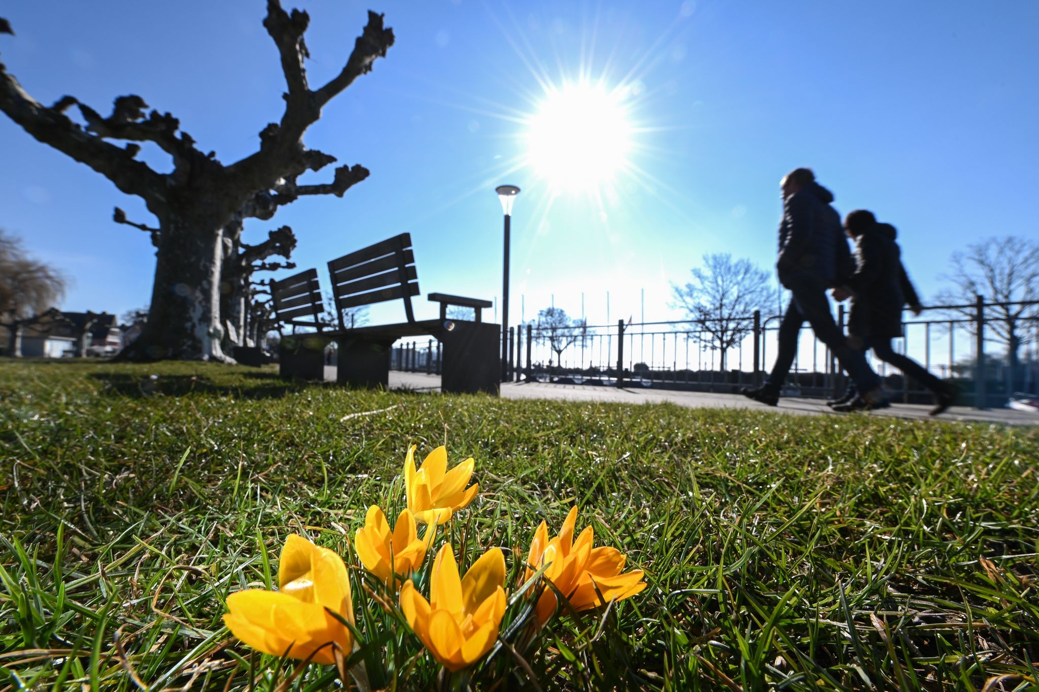 Schwächt sich die Corona-Pandemie im Frühling ab?