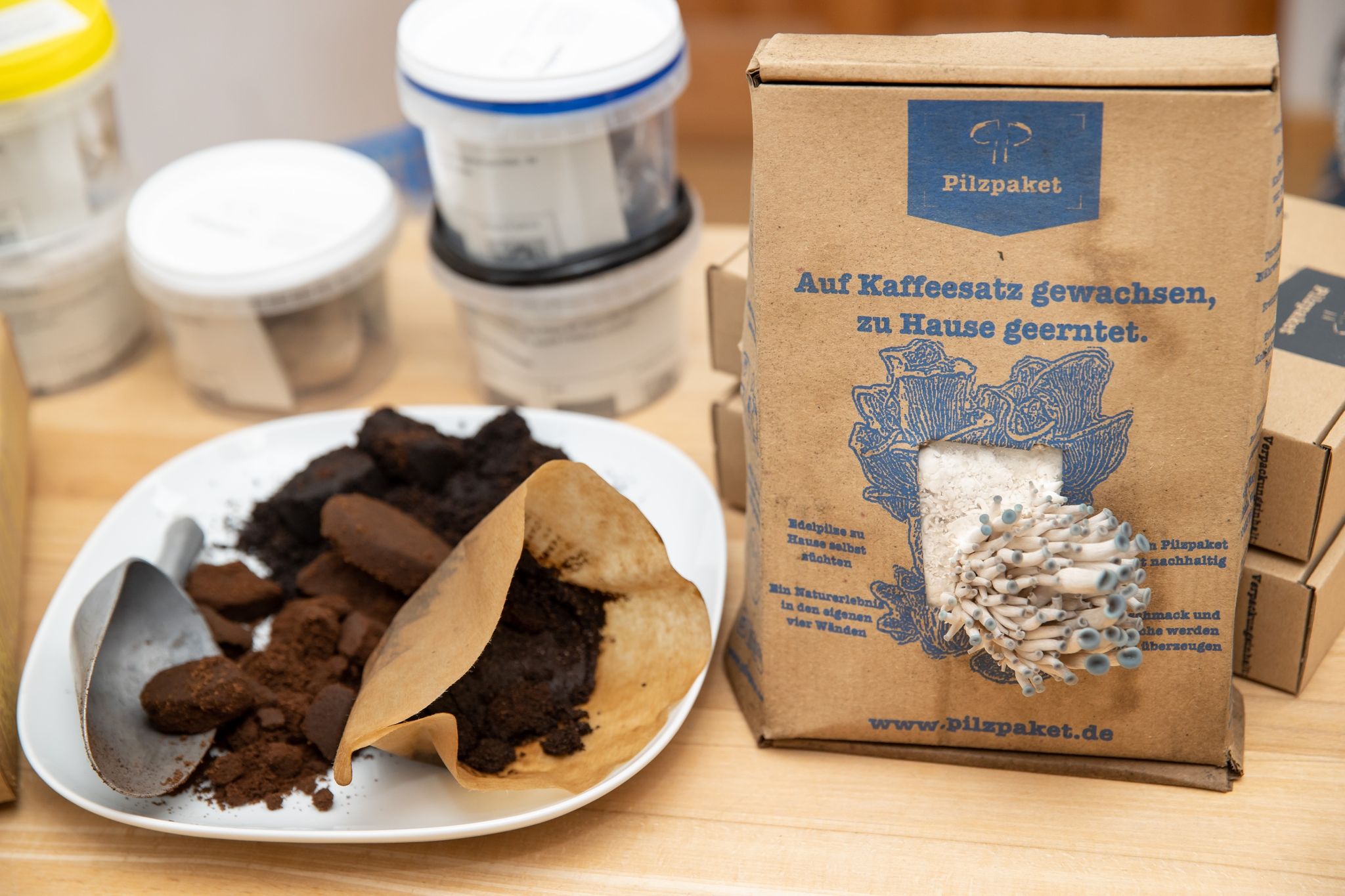 Köstliche Pilze auf altem Kaffee anbauen