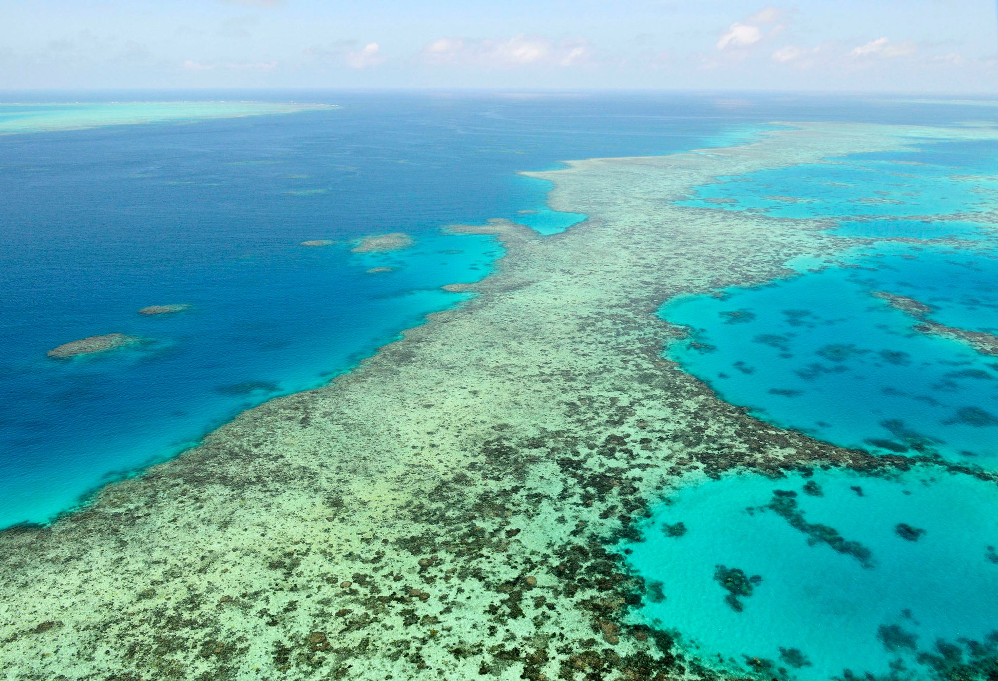 Verliert das Great Barrier Reef jetzt den Welterbe-Status?