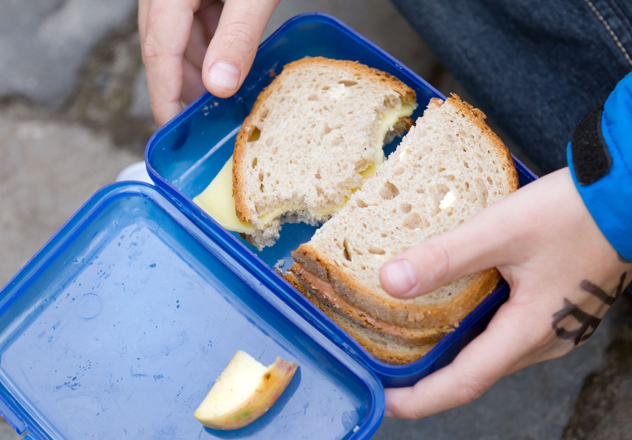 Brotbox schlägt Alufolie und Brotpapier