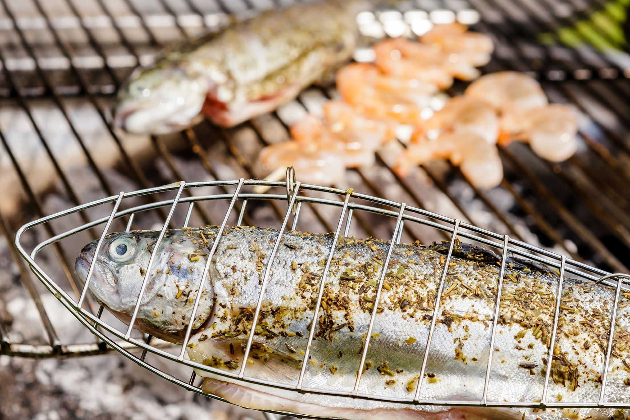 So gelingt das Grillen von Fisch und Garnelen