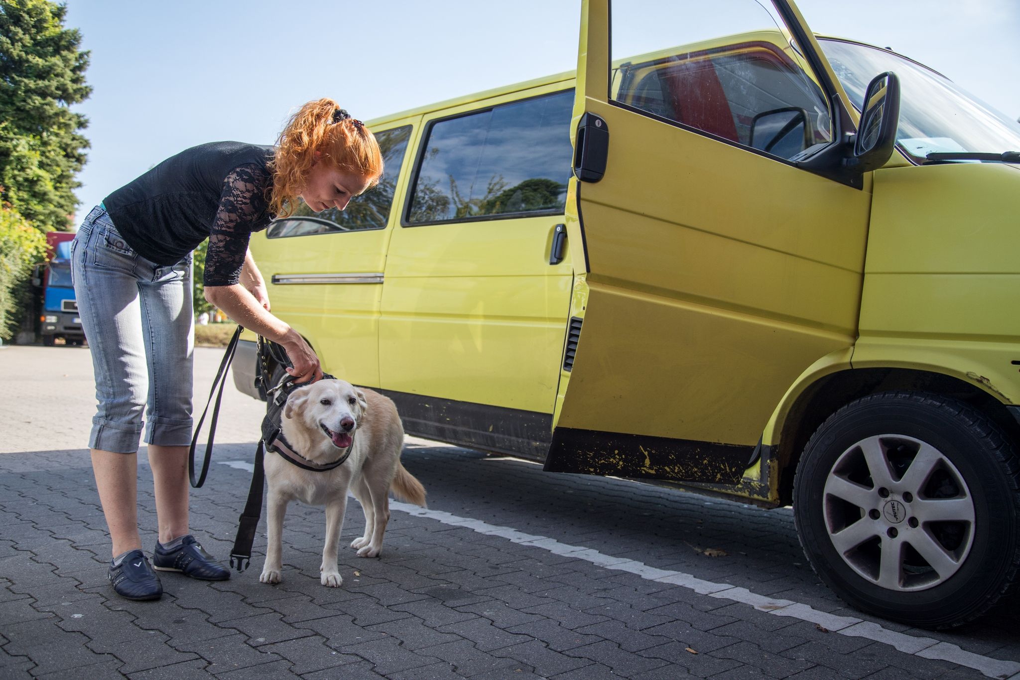 Mit dem Auto in den Urlaub: Alle zwei Stunden pausieren