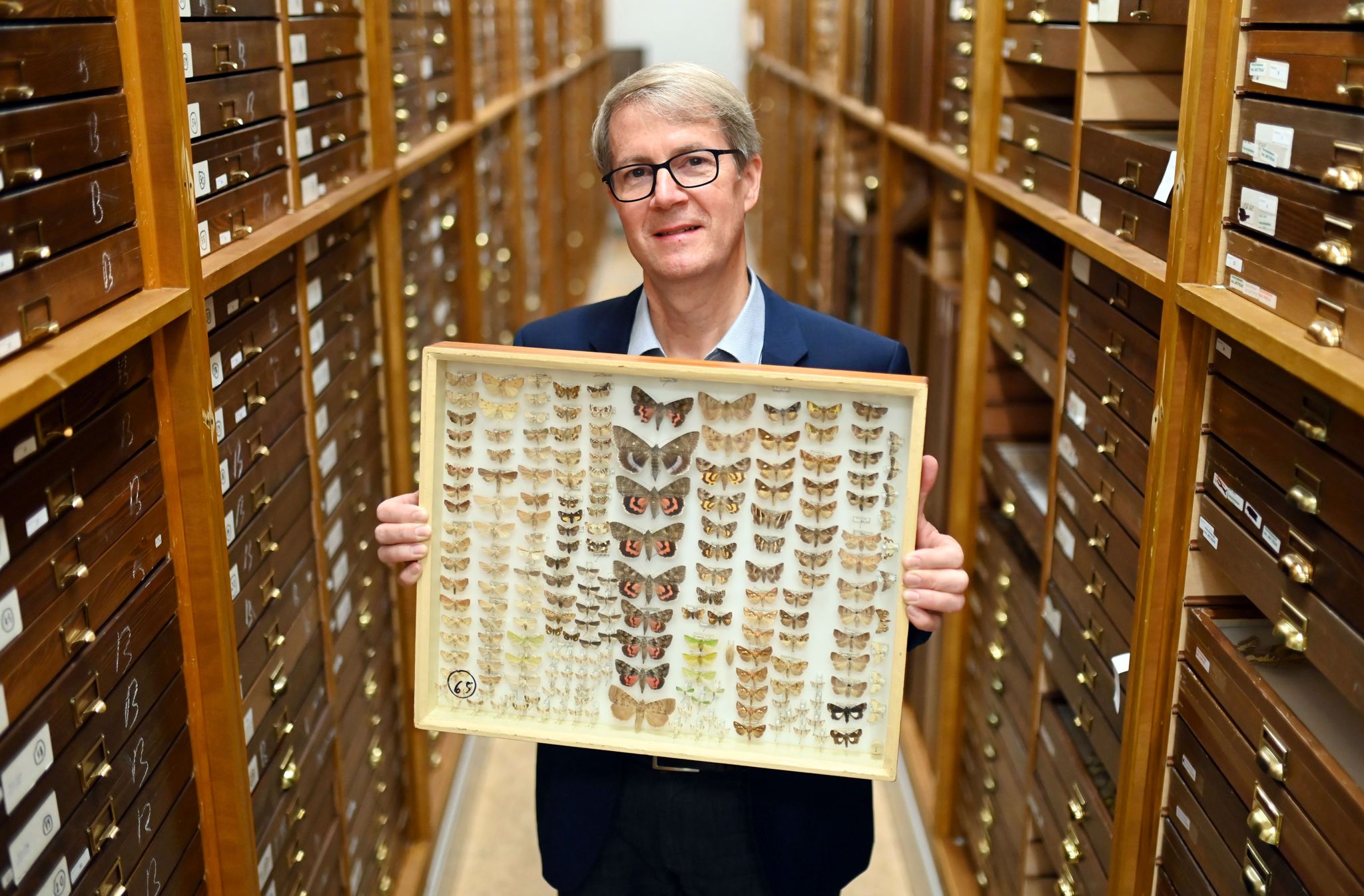 Experten der Biologie: Artenkenner gesucht