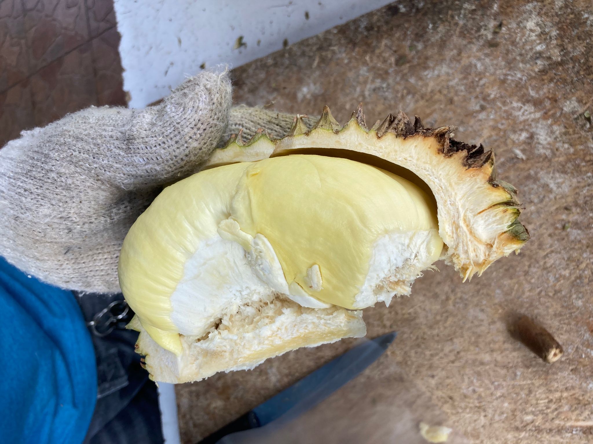 Durian: Geruchskeule mit himmlischem Kern