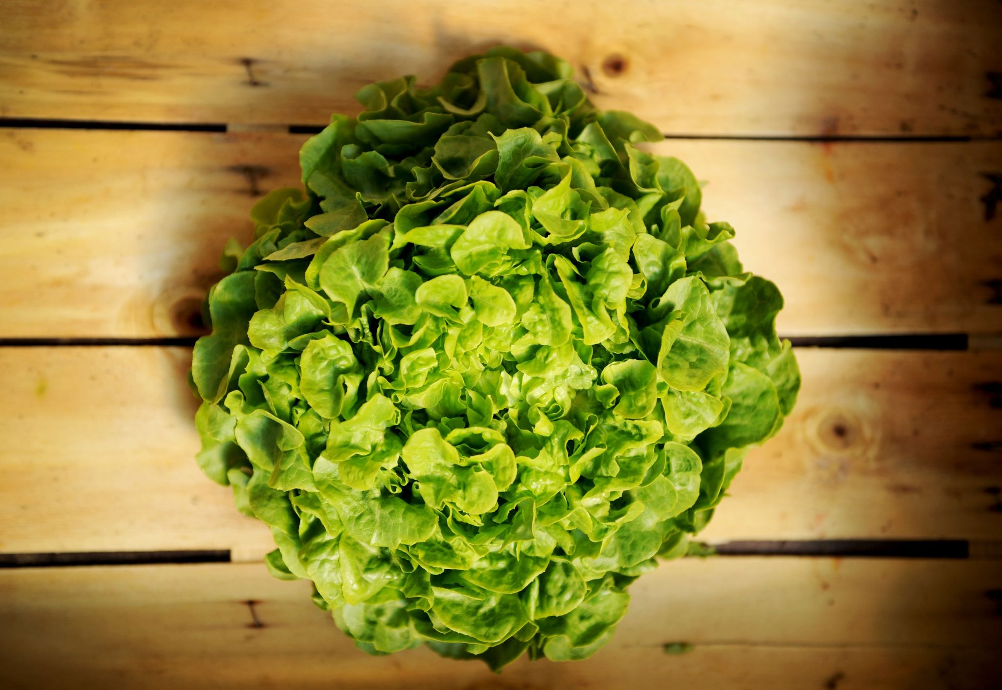 Ein paar Essig-Tropfen helfen bei Lagerung von Salat