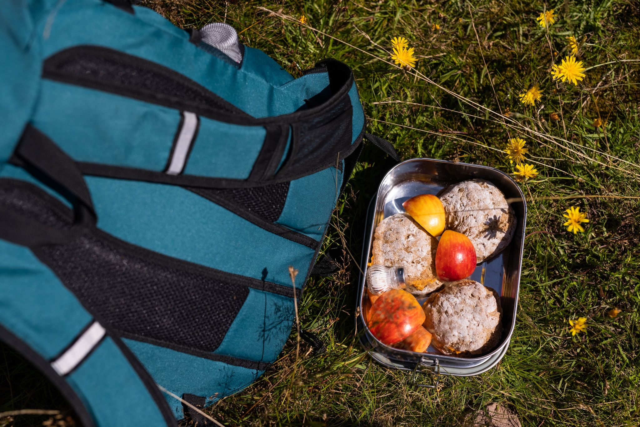 Wenn Kinder als Juniorranger im Nationalpark unterwegs sind