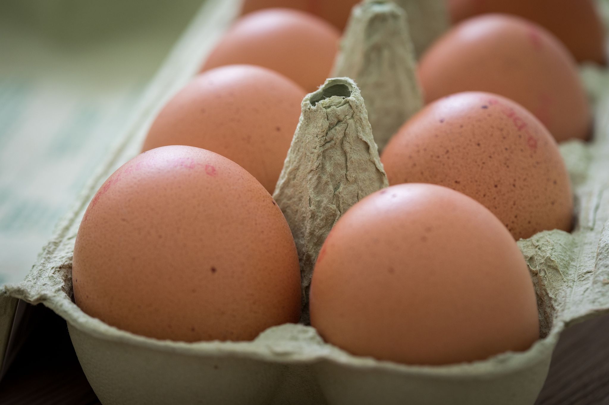 Eier mögen keine Temperaturschwankungen