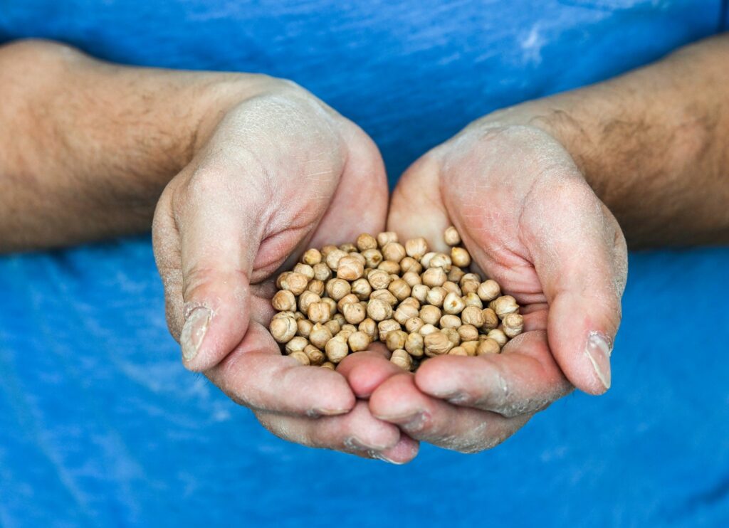 Hülsenfrüchte punkten nun als Superfood