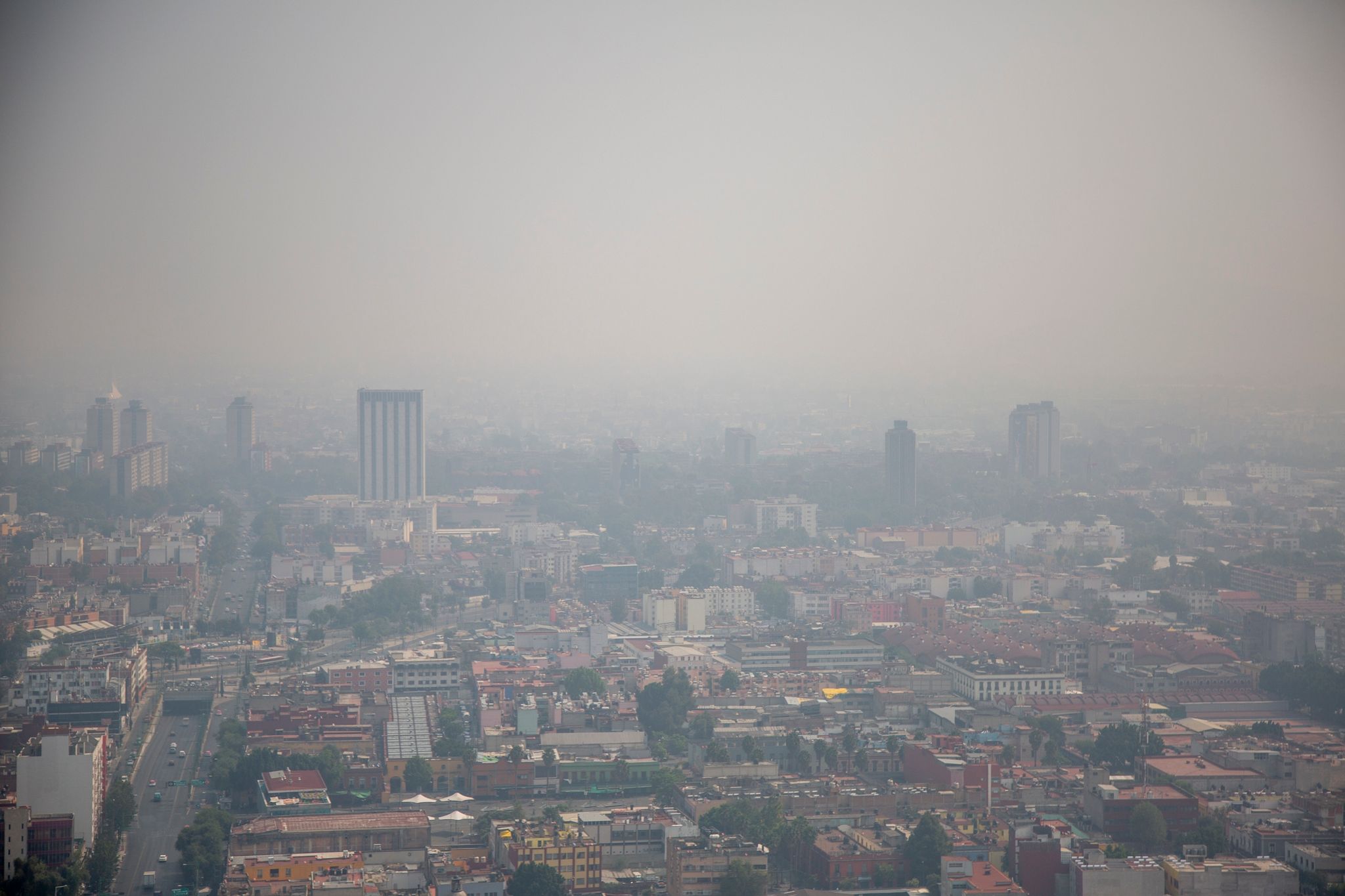 Feinstaub trug 2019 zu 1,8 Millionen Todesfällen bei