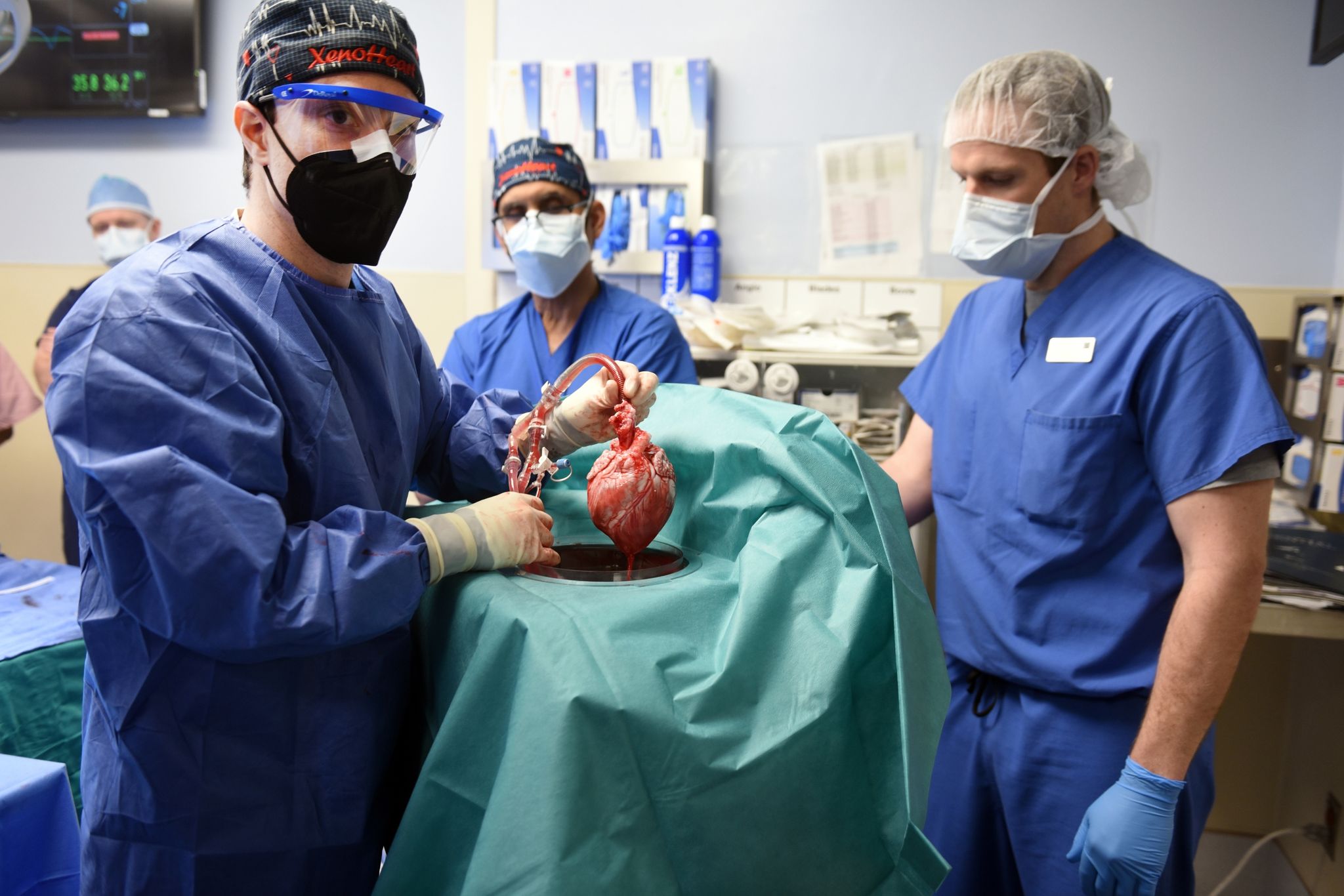 Erstmals Schweineherz-Transplantation für einen Menschen