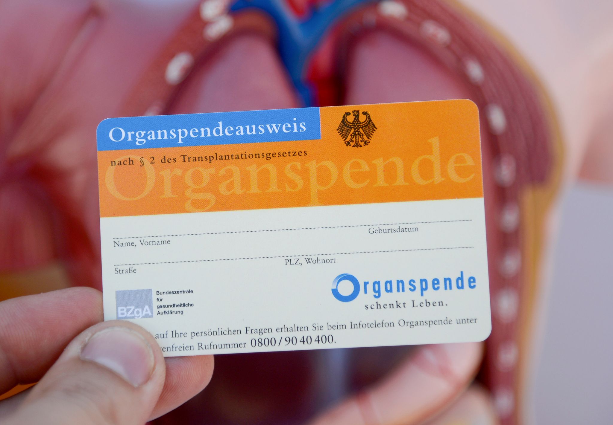 Organspende auch im zweiten Corona-Jahr stabil