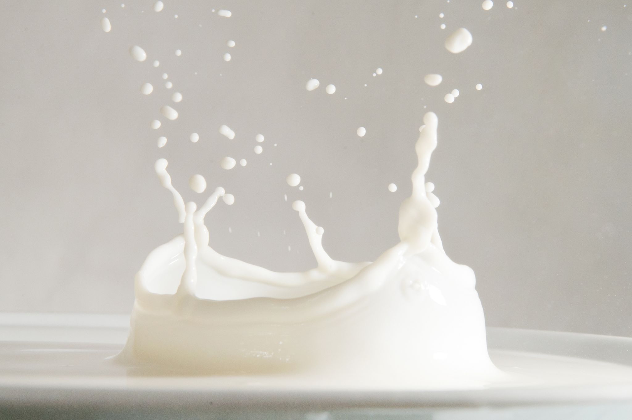 Handelsketten wollen bei Milch mehr auf das Tierwohl achten