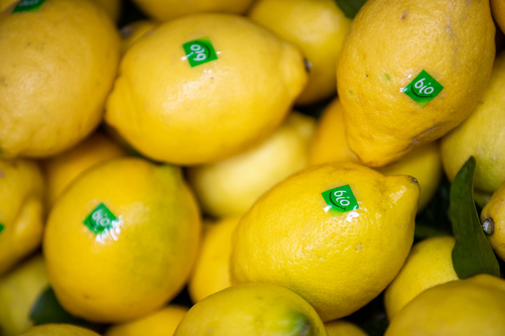 Bio-Lebensmittel weiter im Trend