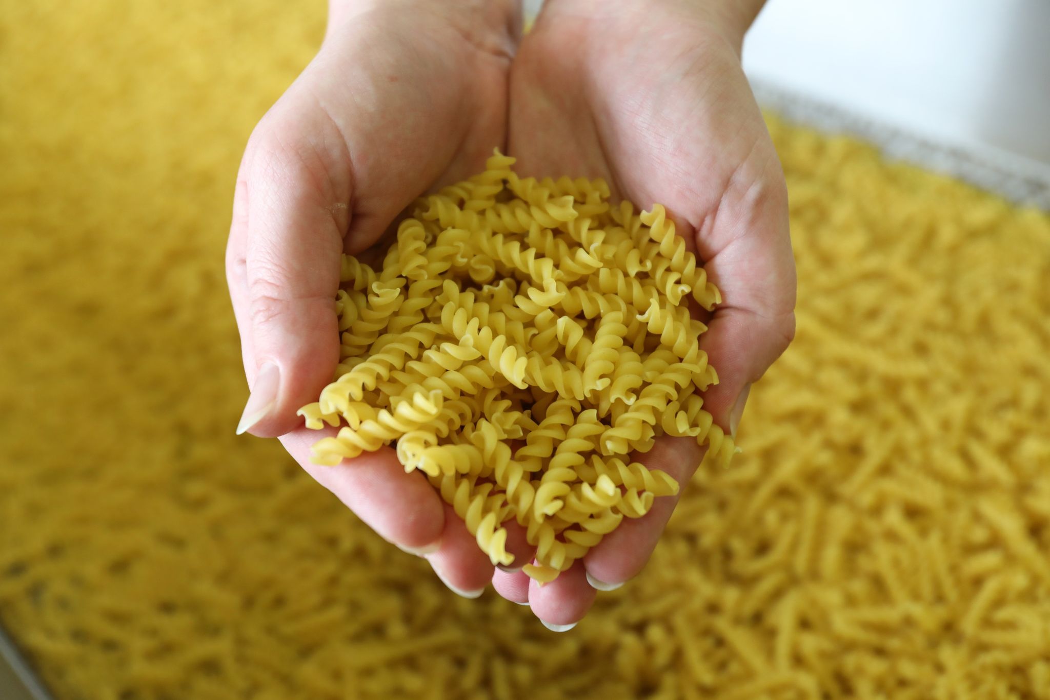 Test: Bestnoten für Fusilli – aber auch bedenkliche Stoffe