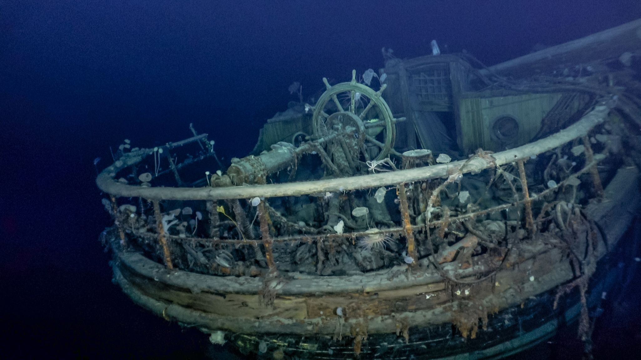 Nach mehr als 100 Jahren Schiffswrack «Endurance» entdeckt
