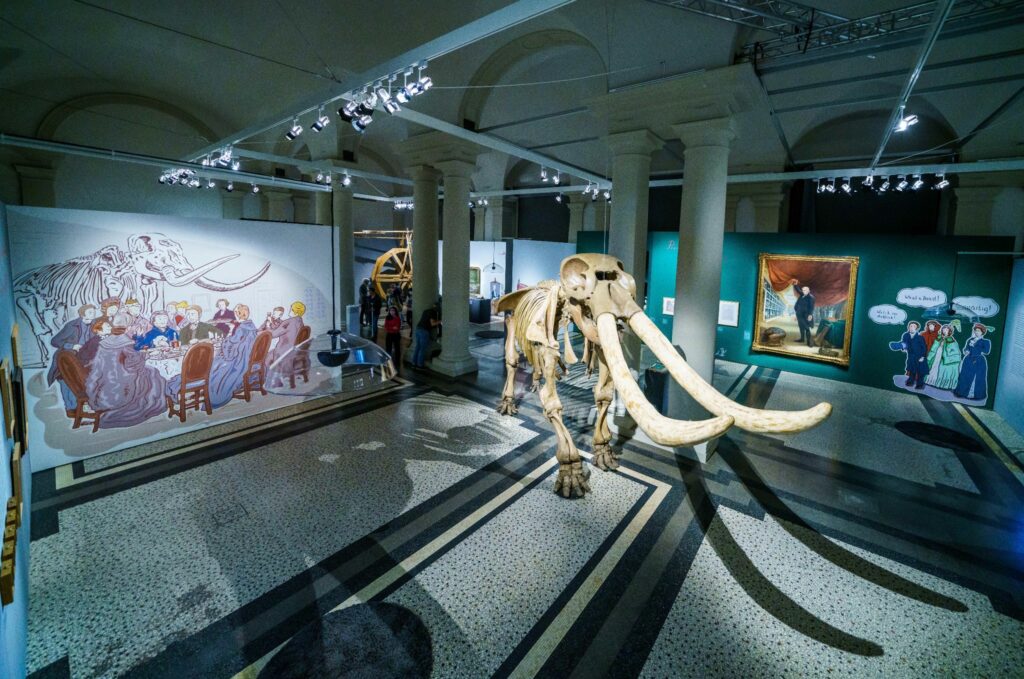 Riesiges Mammut-Skelett im Hessischen Landesmuseum zu sehen