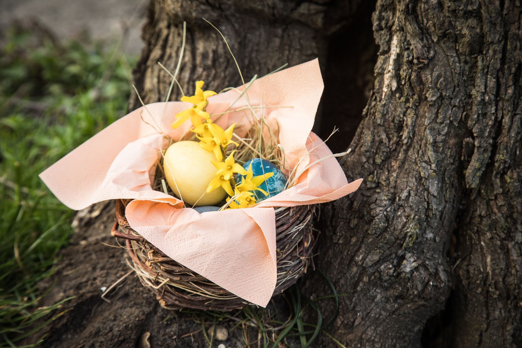 Auch an Ostern auf den Cholesterinspiegel achten