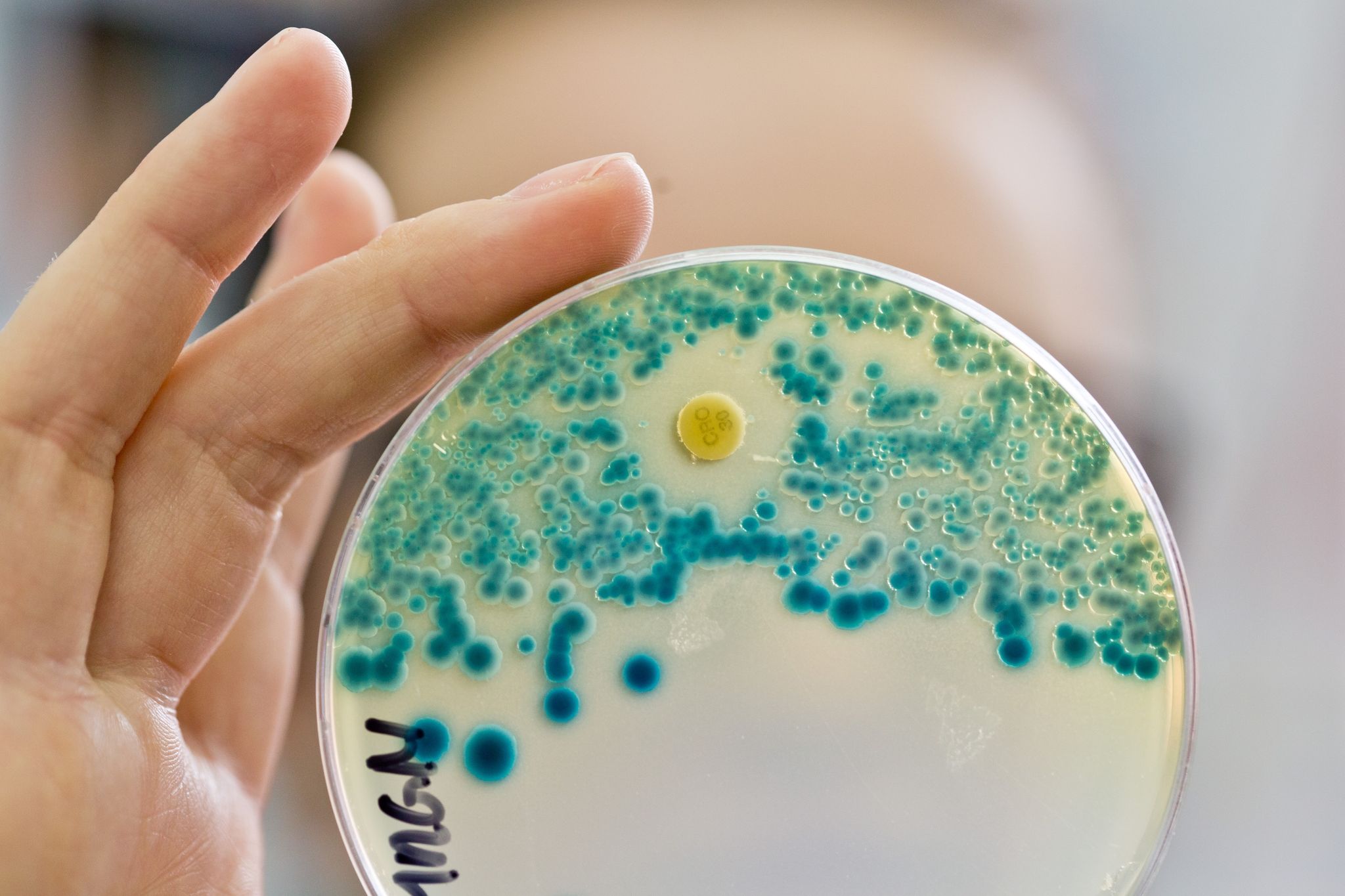 Neues tiermedizinisches Zentrum erforscht resistente Keime
