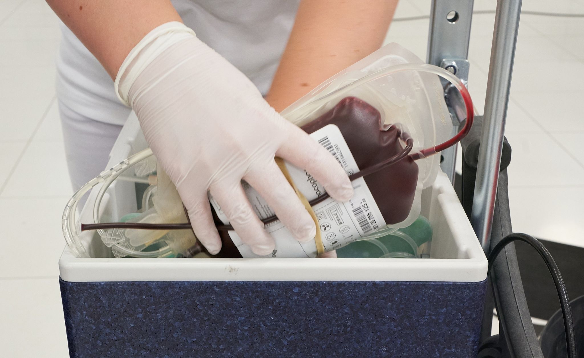 DRK ruft zum Blutspenden auf