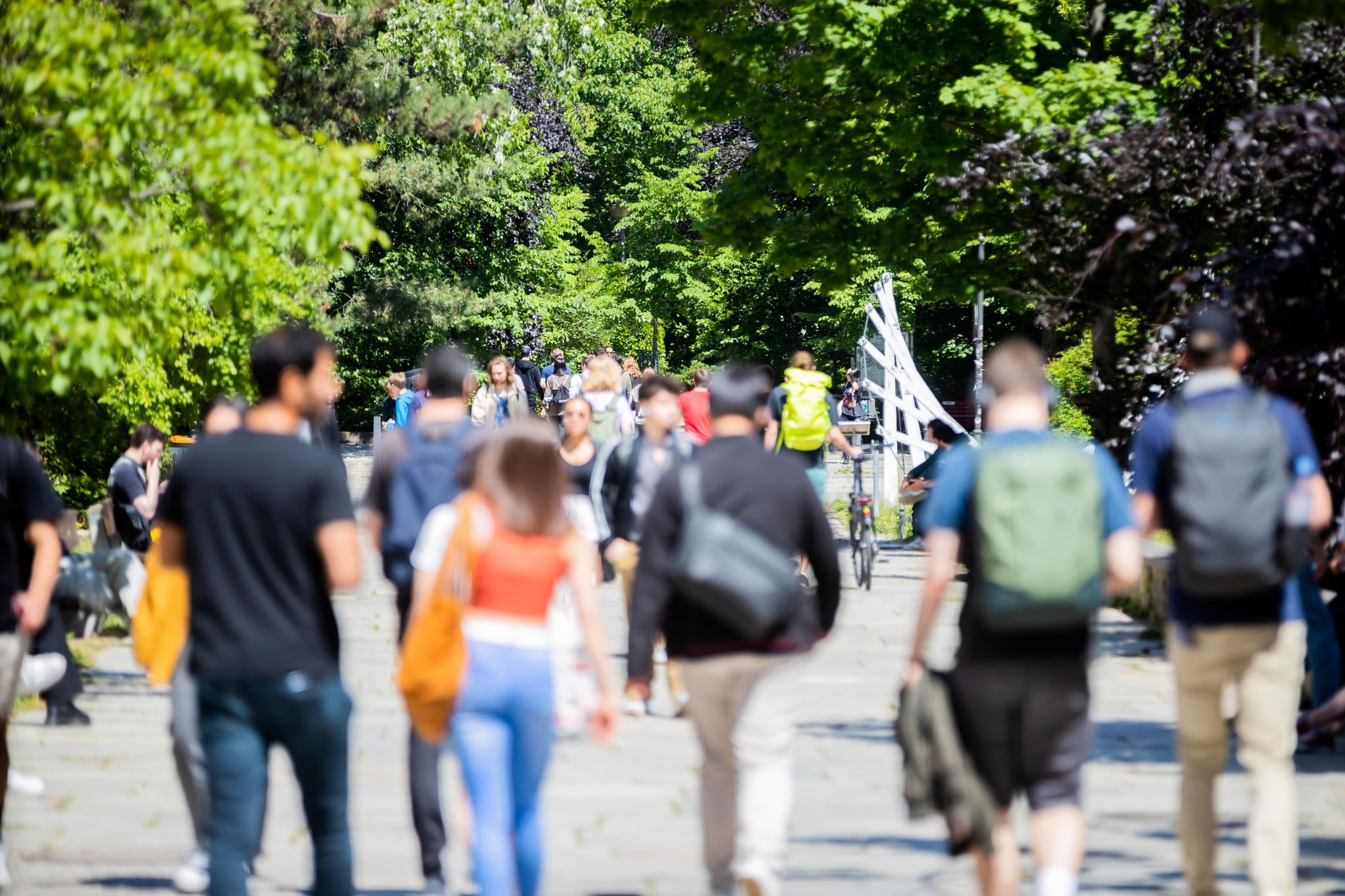Studenten suchen mehr psychologische Beratung