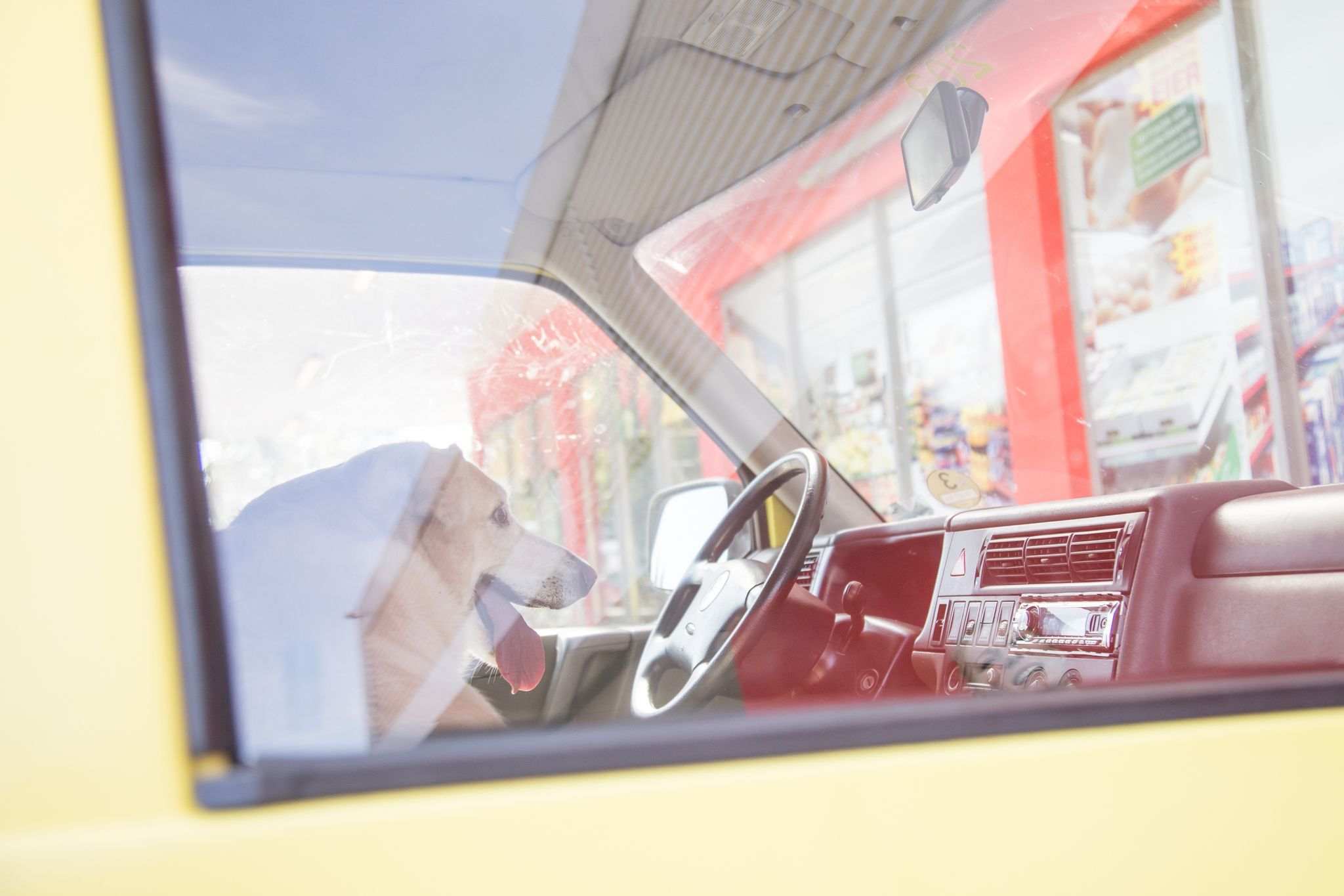 So gefährlich kann es für Kinder und Tiere im Auto sein
