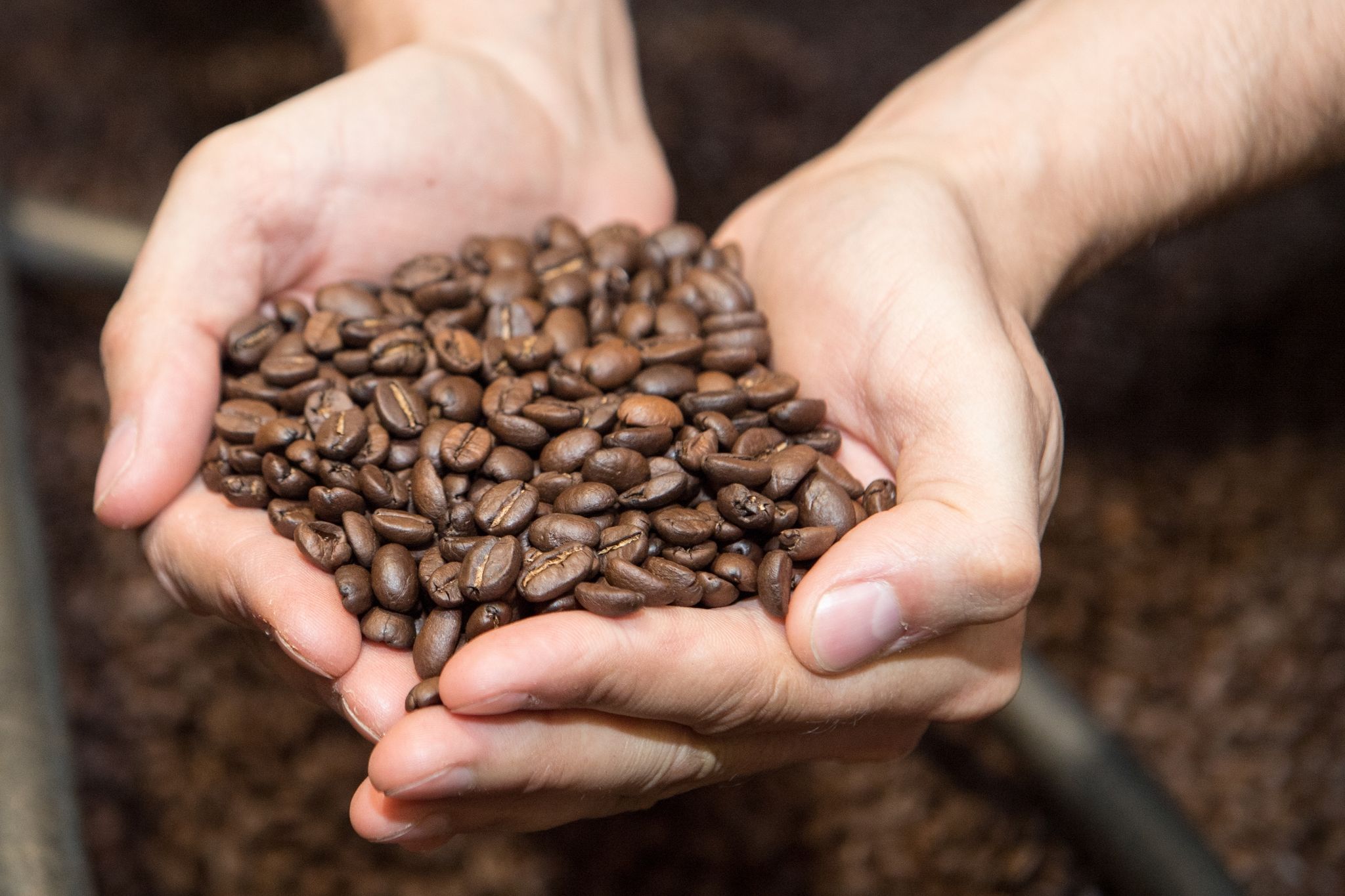 Kaffee selber rösten nichts für Vieltrinker