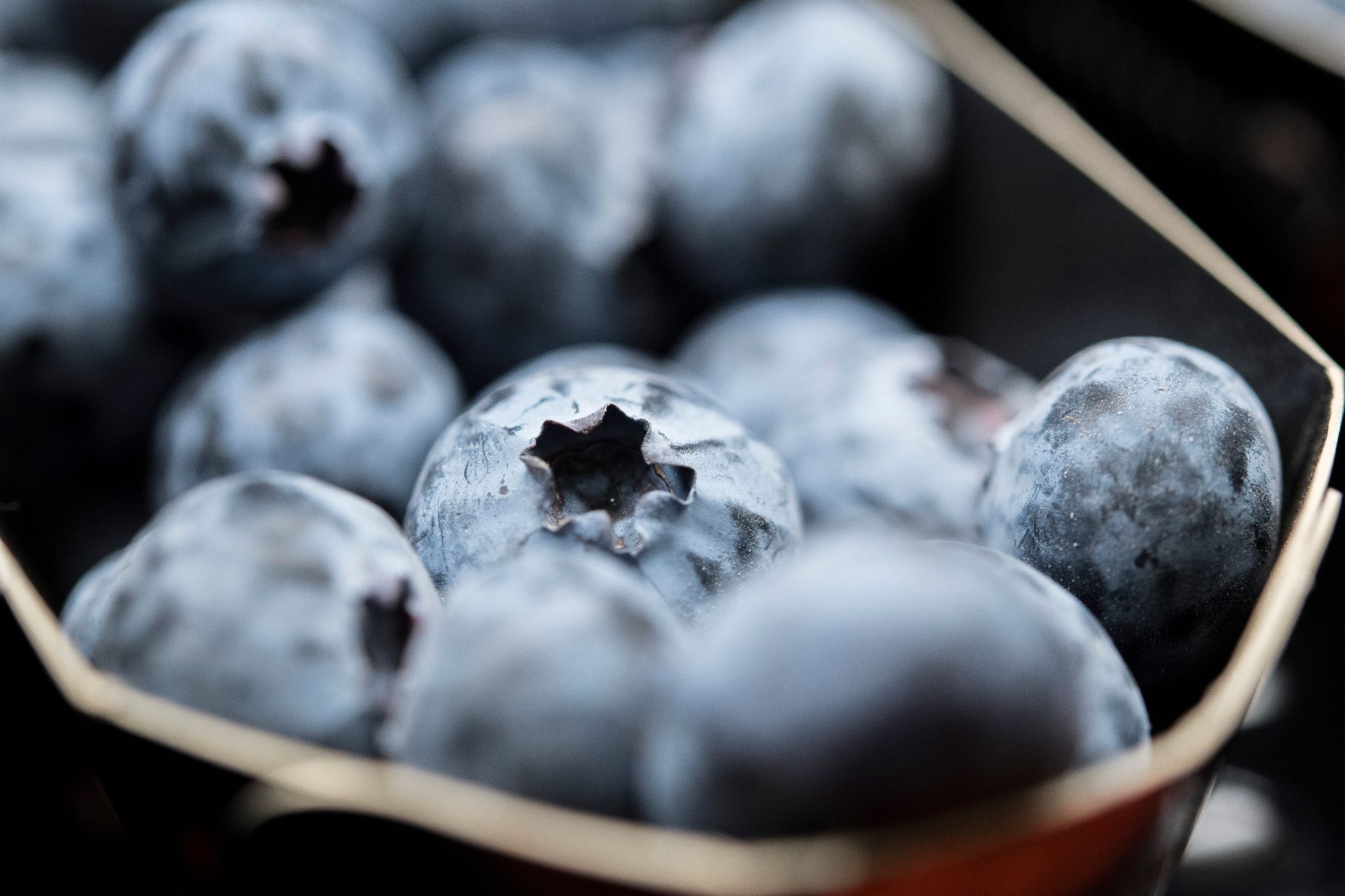 So lagern Heidelbeeren richtig und bleiben lange frisch