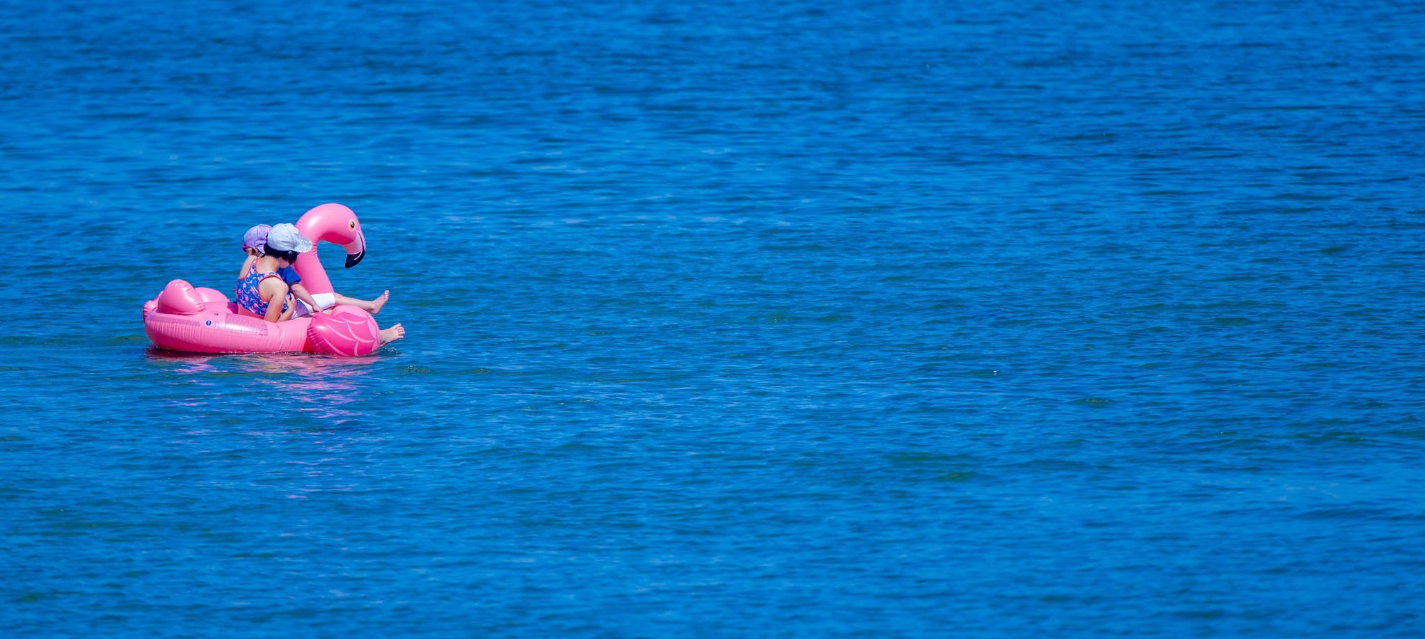 Große Schwimmtiere sind nichts für offene Gewässer