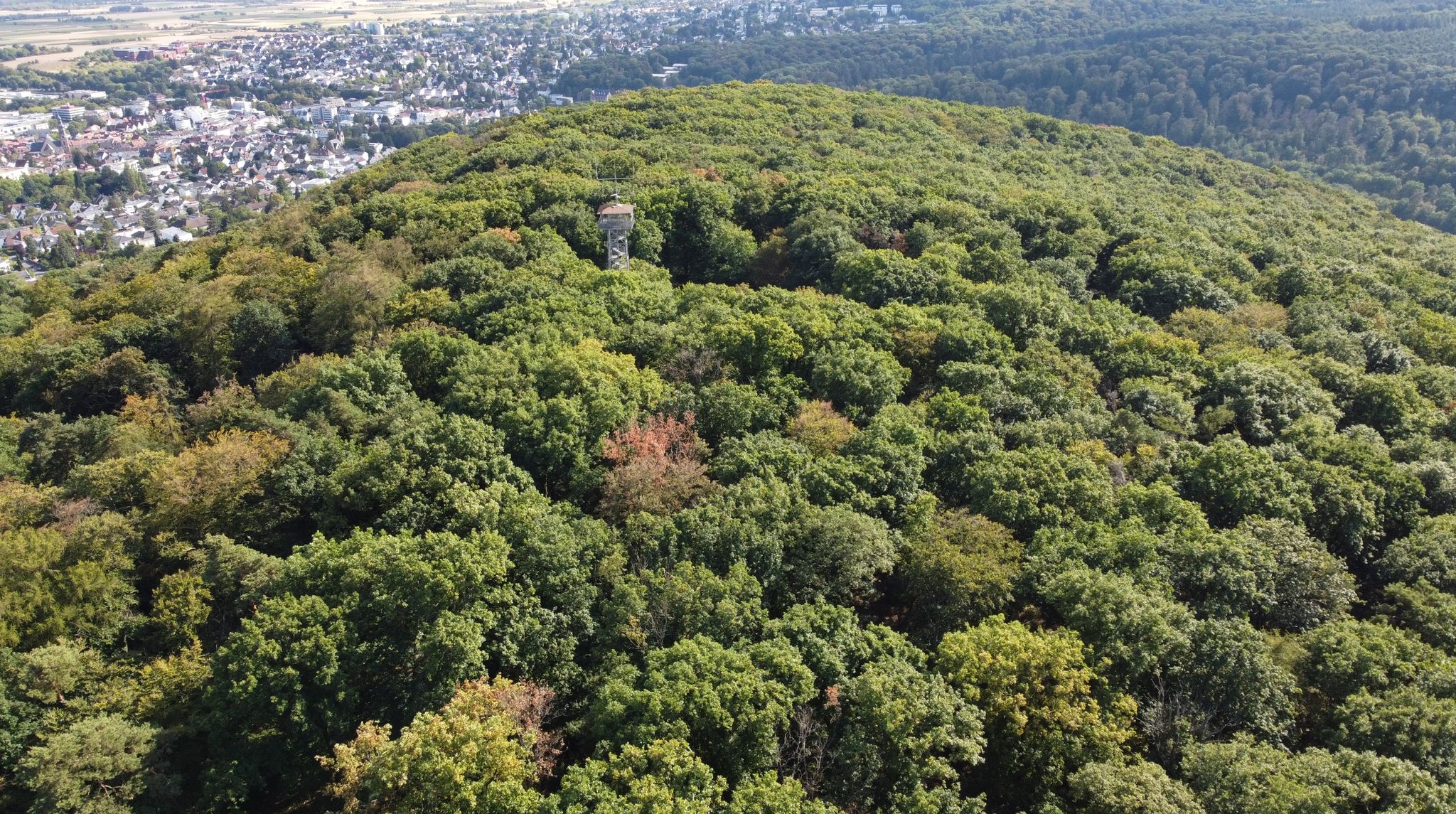 Kapellenberg: Archäologischer Schatz im Rhein-Main-Gebiet