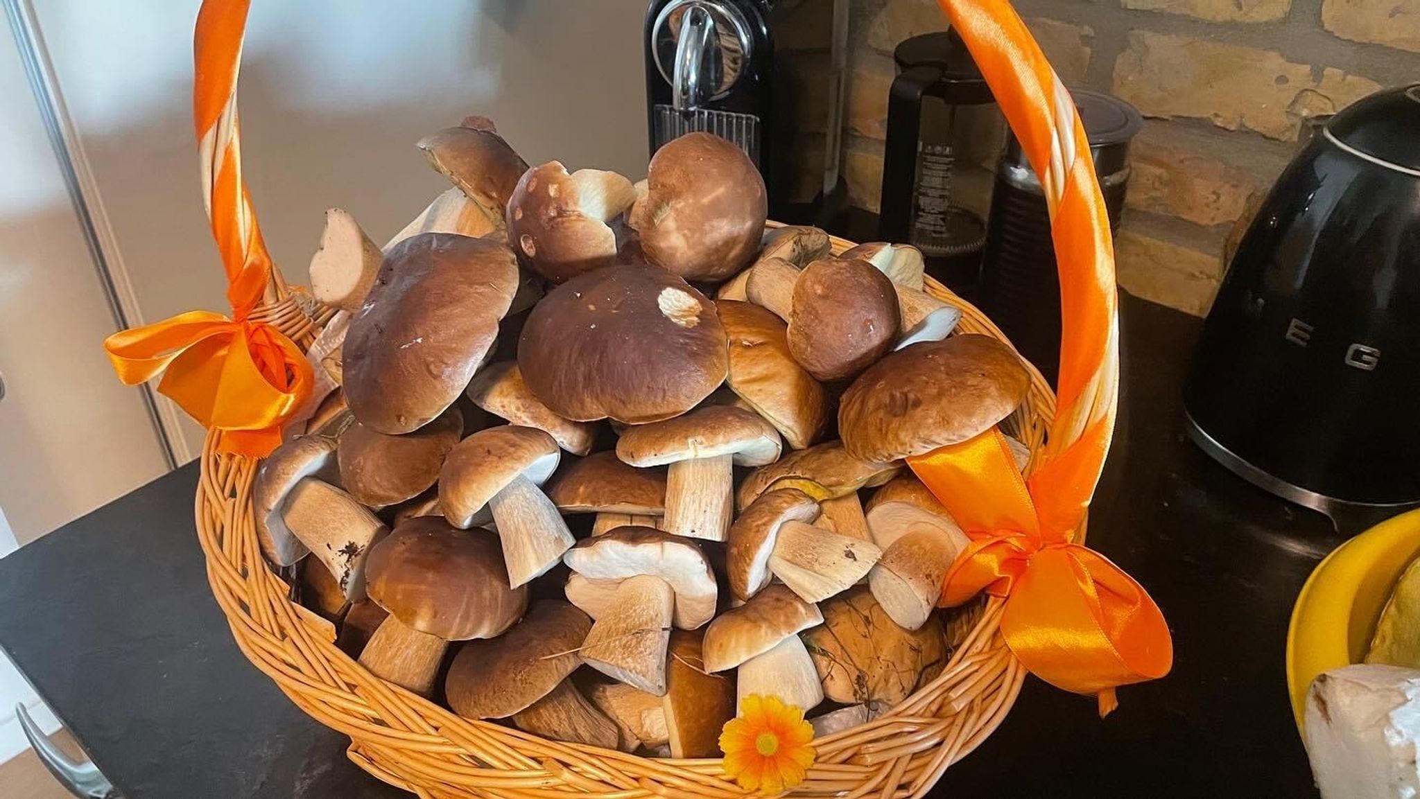Wieder Pilze auf dem Speiseplan