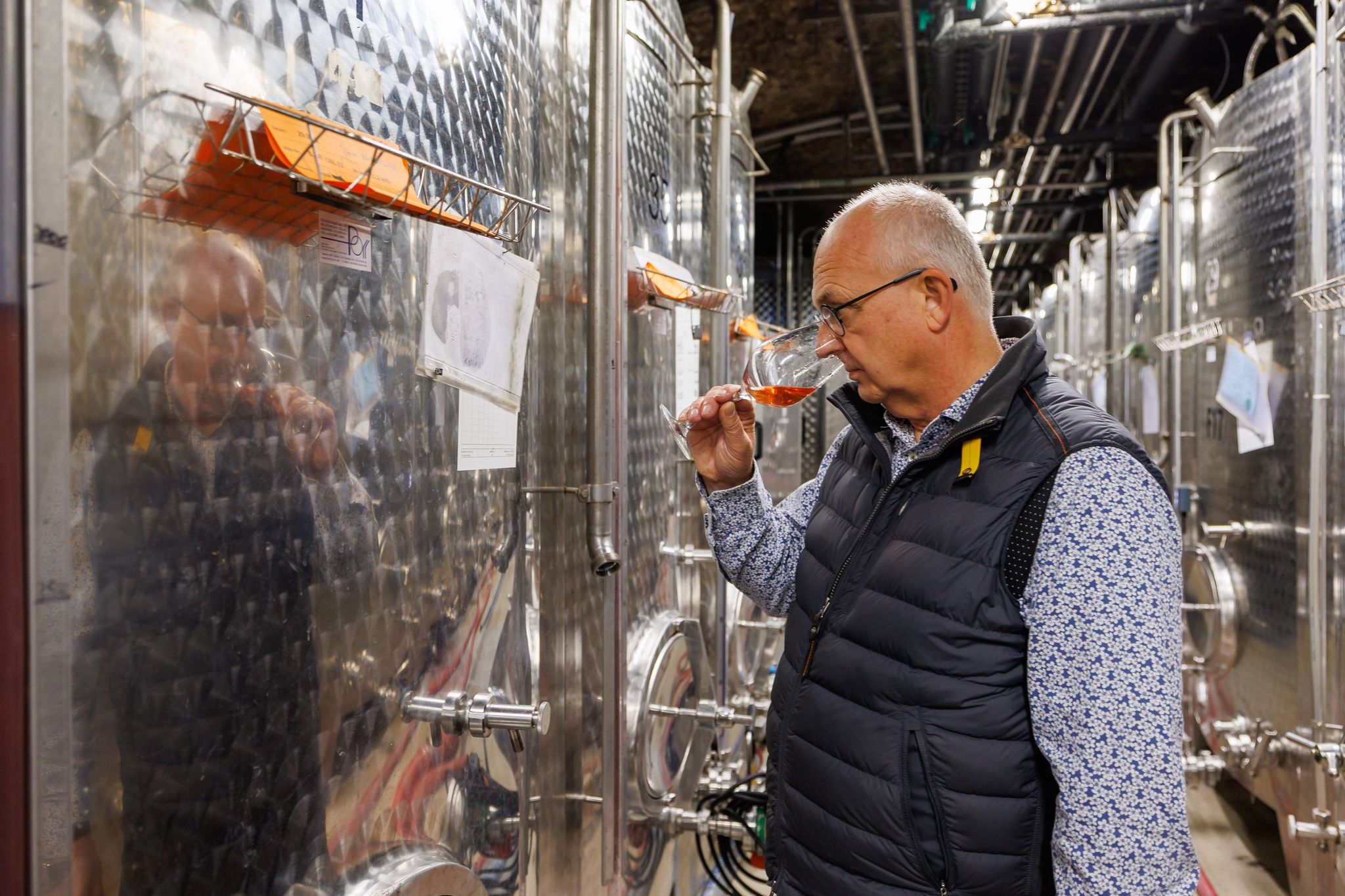 Wein ohne Alkohol wird salonfähig