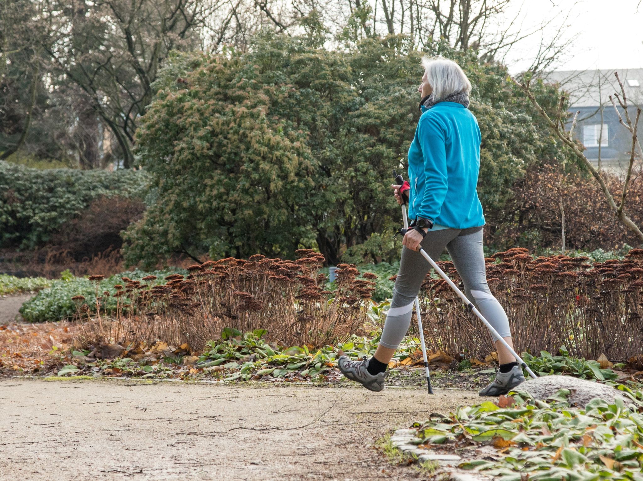 Nordic Walking: Das sollten Sie für den Einstieg wissen