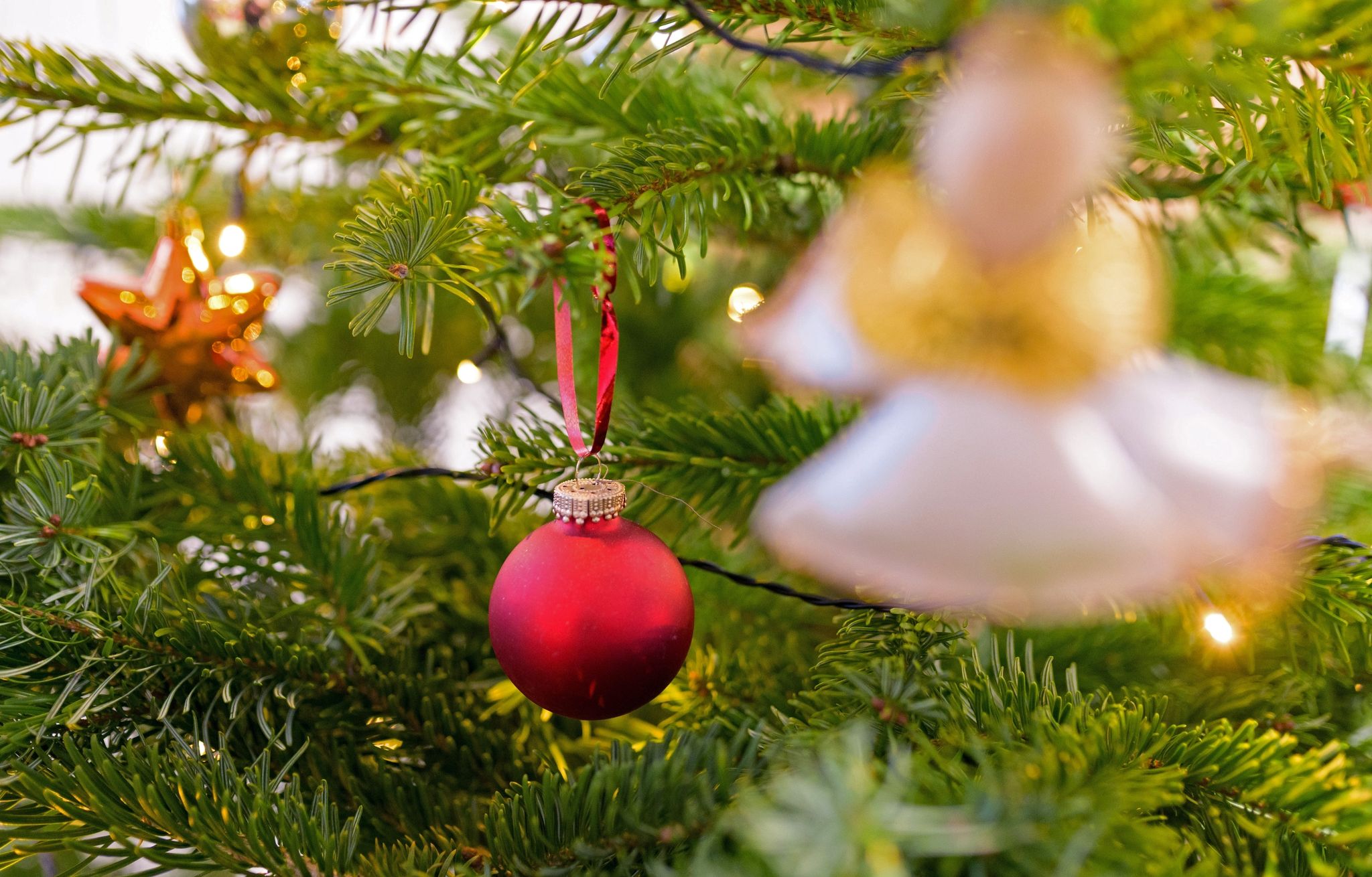 Popsongs statt alter Weihnachtslieder: Hauptsache Singen