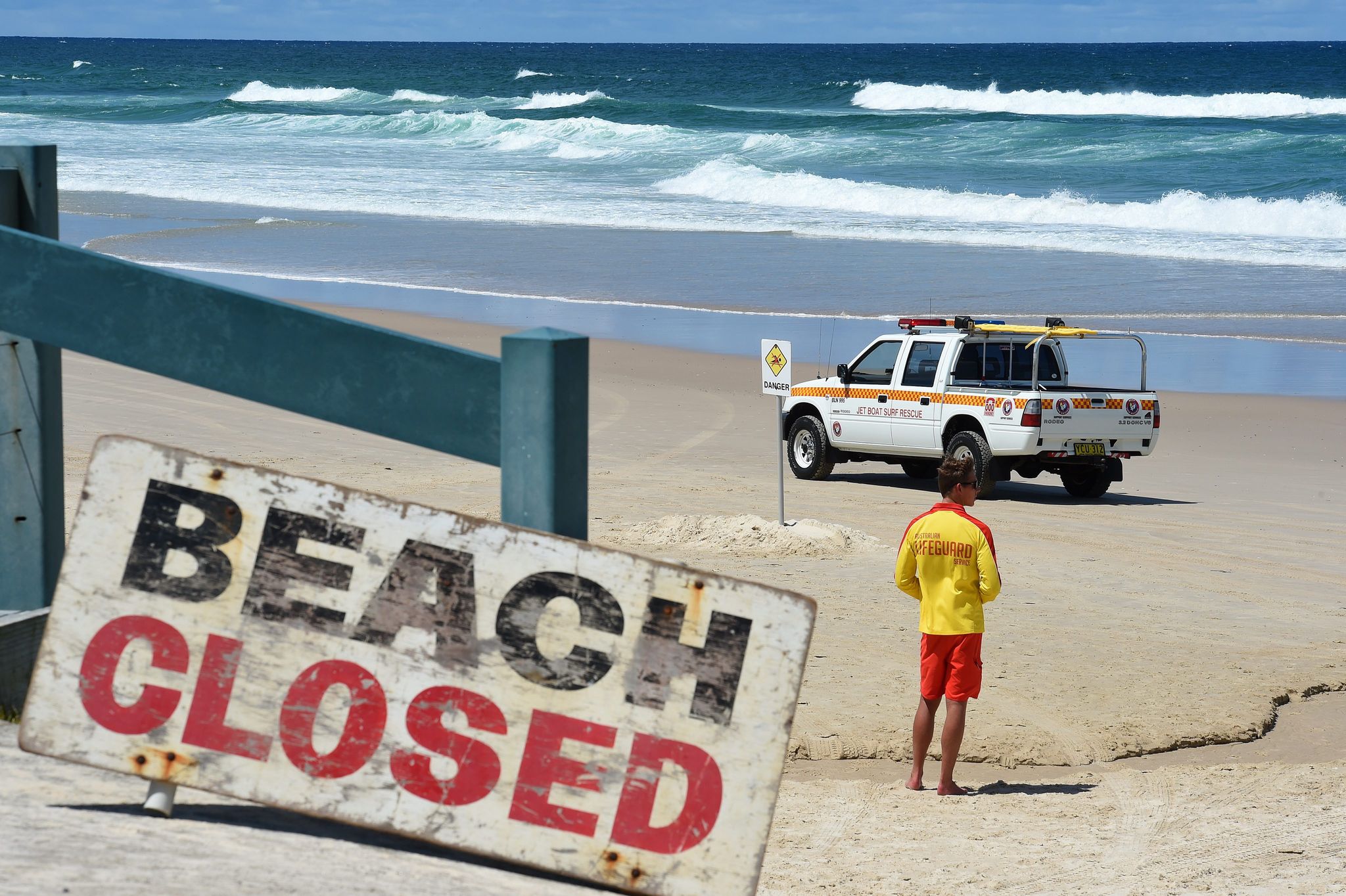 Ein Dutzend Hammerhaie: Bekannter Strand in Sydney gesperrt