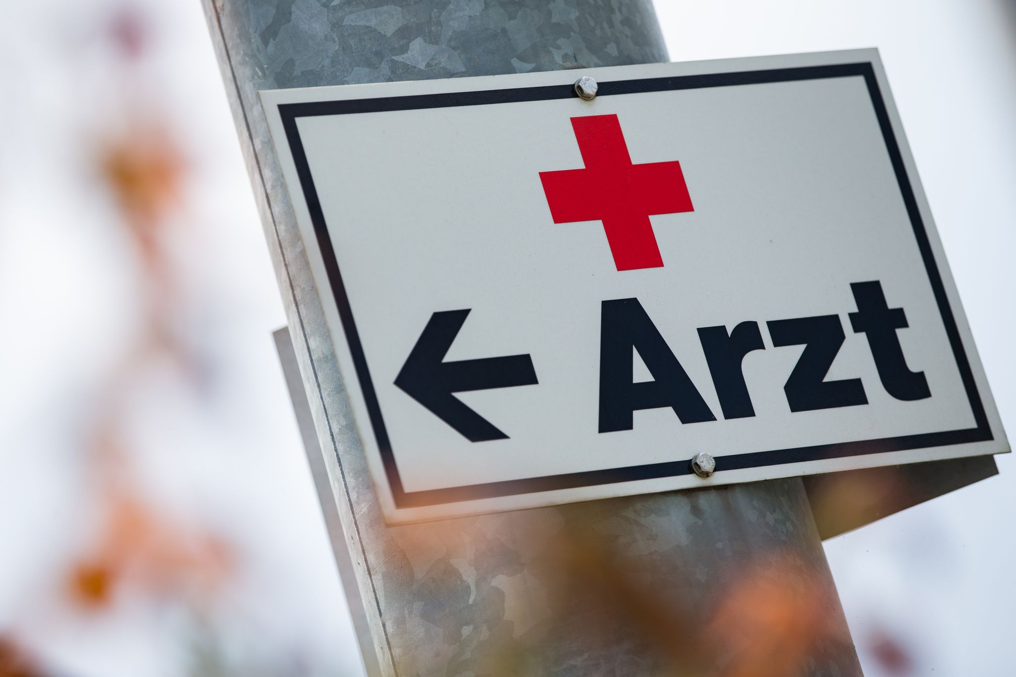 Wie Medizinstudenten die Arbeit auf dem Land kennenlernen
