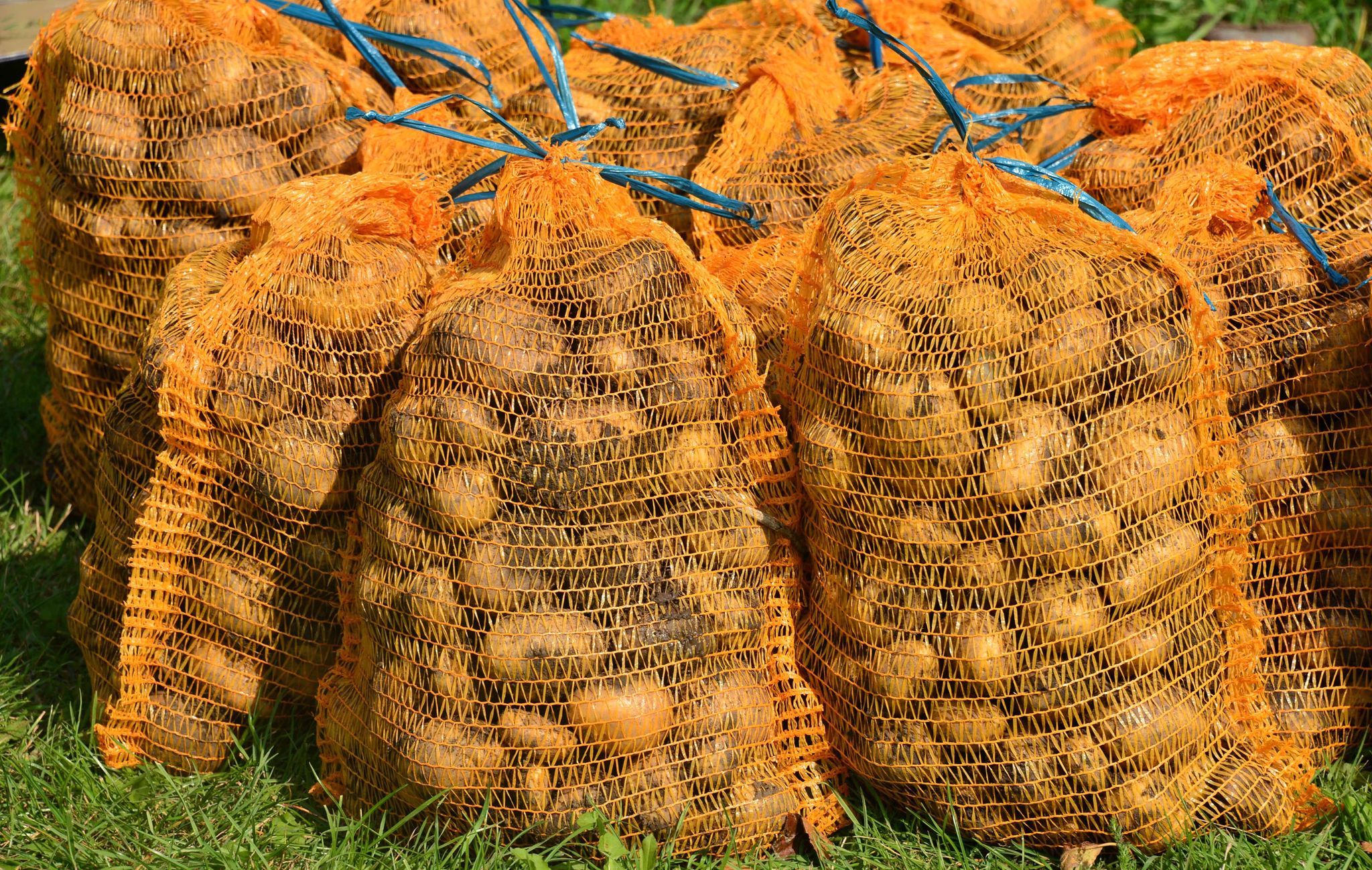 Womit dürfen Kartoffeln behandelt werden?