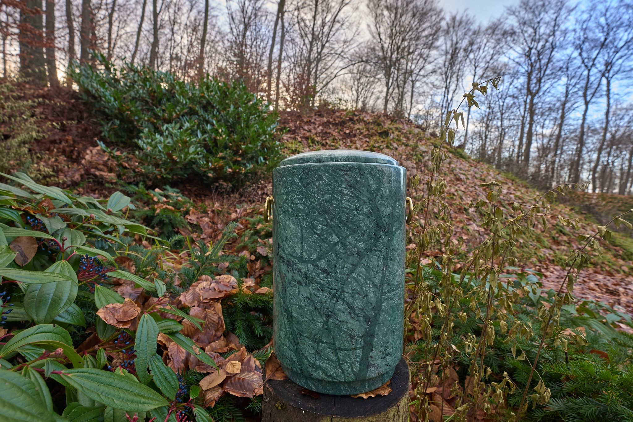 Bestattungswälder: Klimawandel bringt Grabstätten in Gefahr