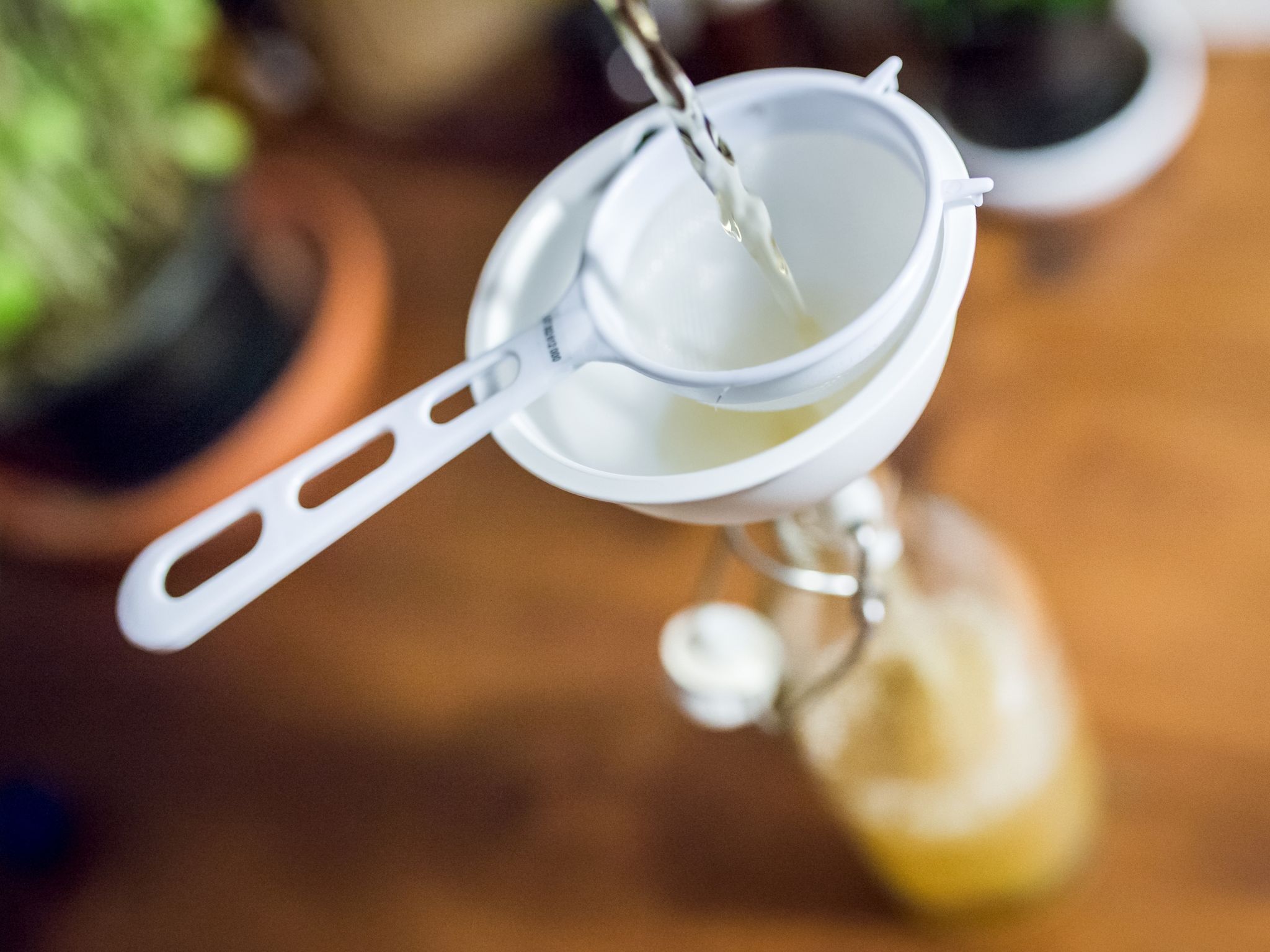 Kombucha-Tee ist nichts für Schwangere und Kinder