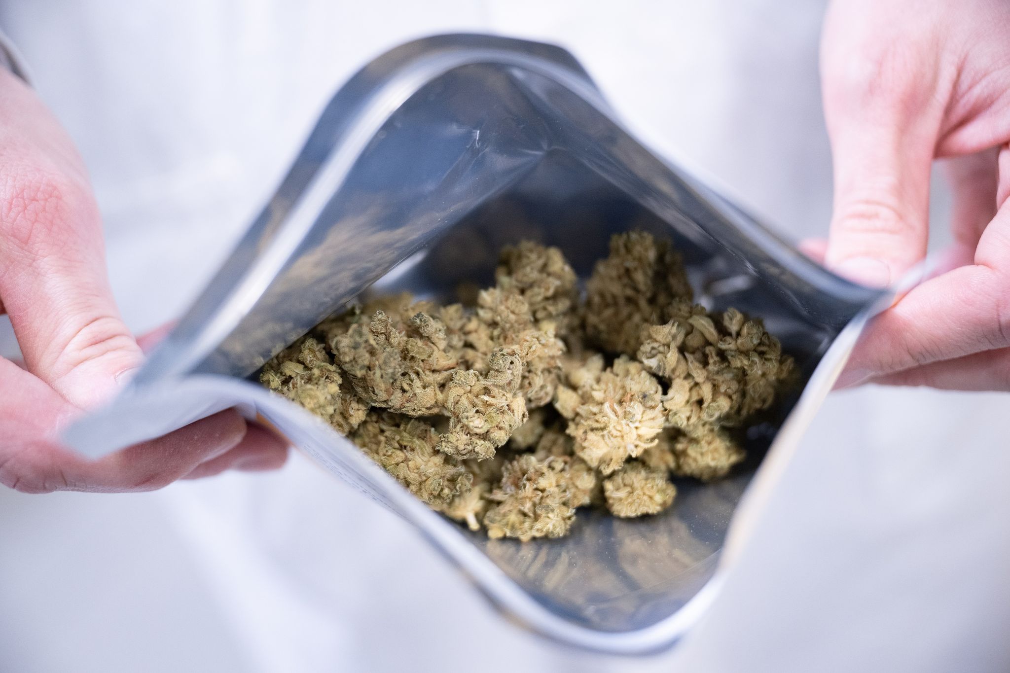 Cannabisfirmen wittern großes Geschäft