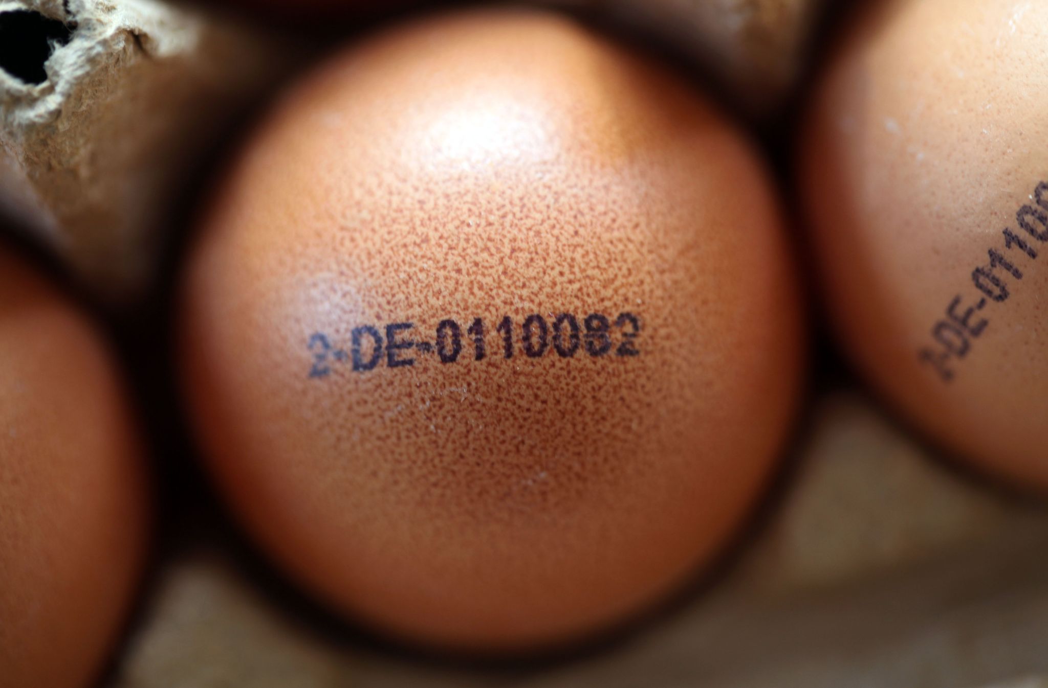 Experten rechnen zu Ostern mit hohen Eierpreisen