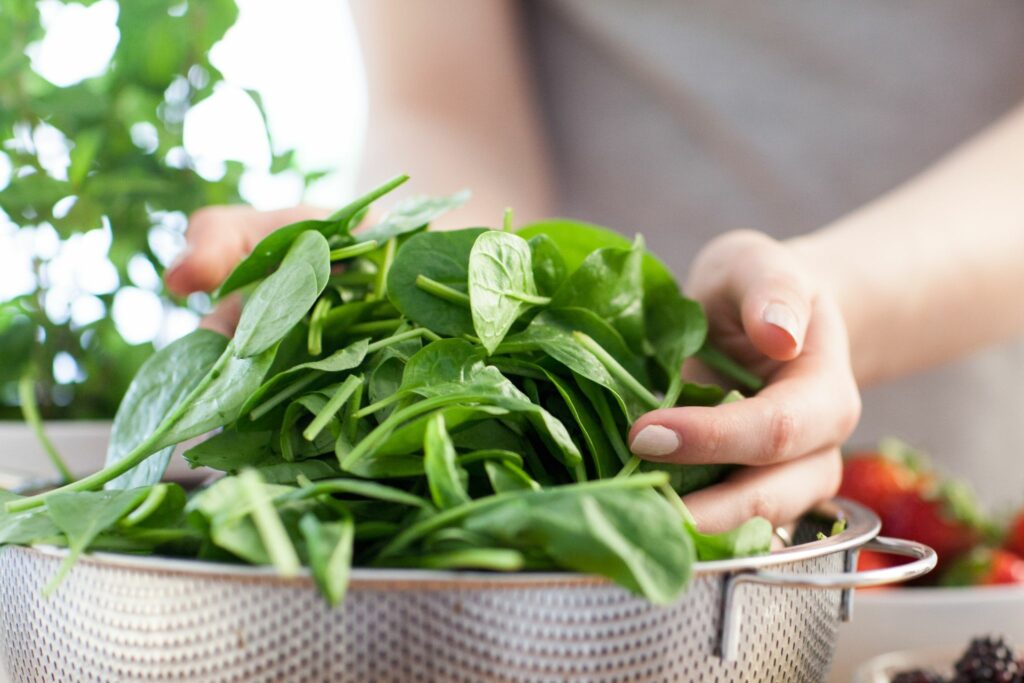 Als Salat oder püriert: Der Gründonnerstag als Spinattag