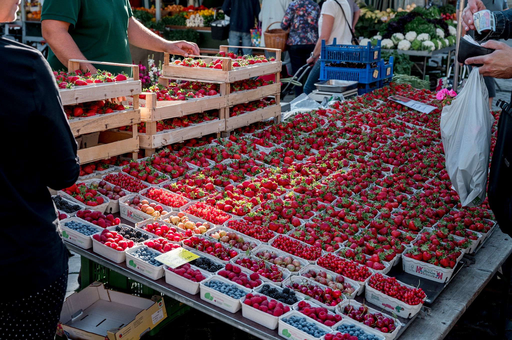 Erste heimische Erdbeeren wieder im Handel zu finden