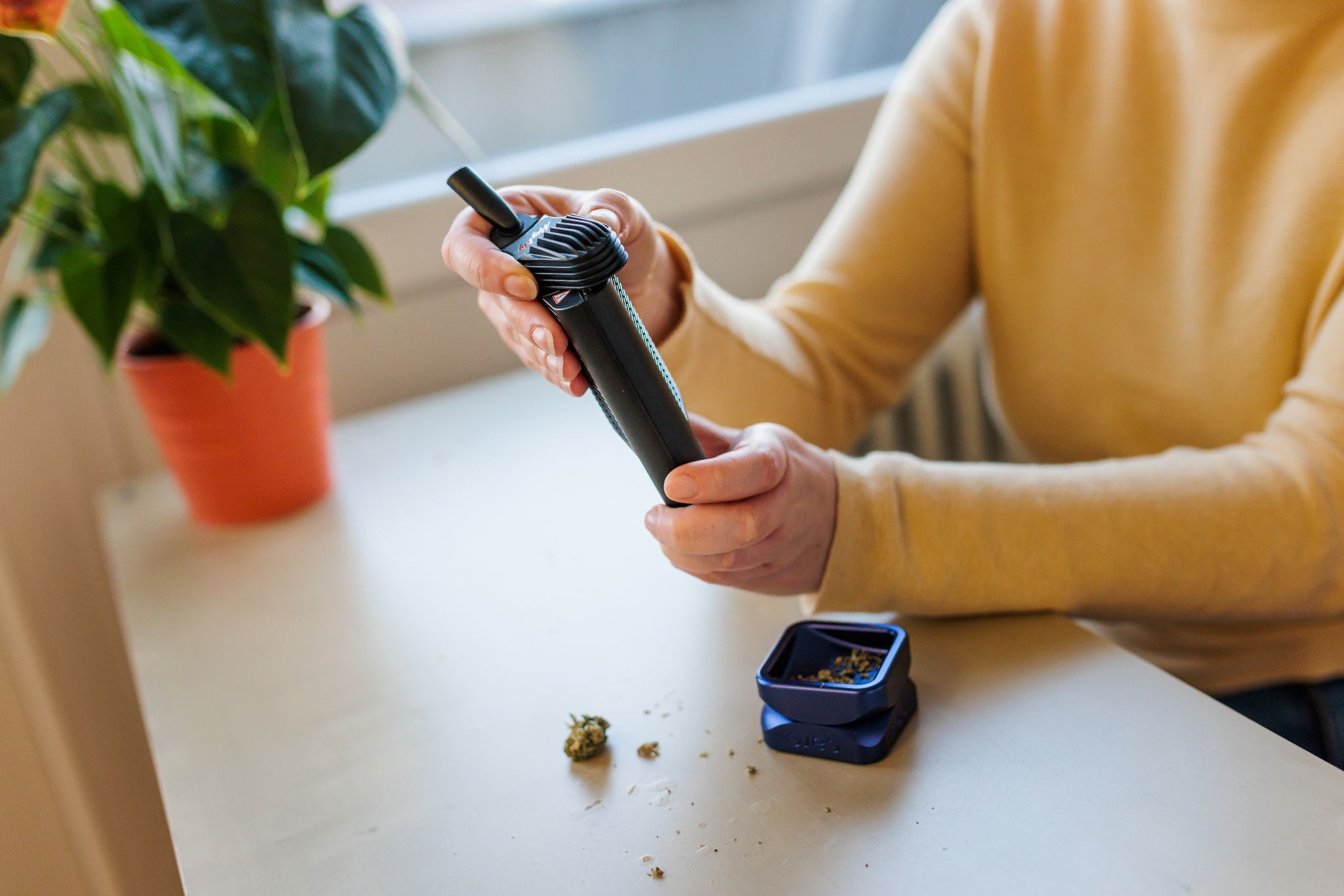 Cannabis: Wie kann man etwas sicherer kiffen?